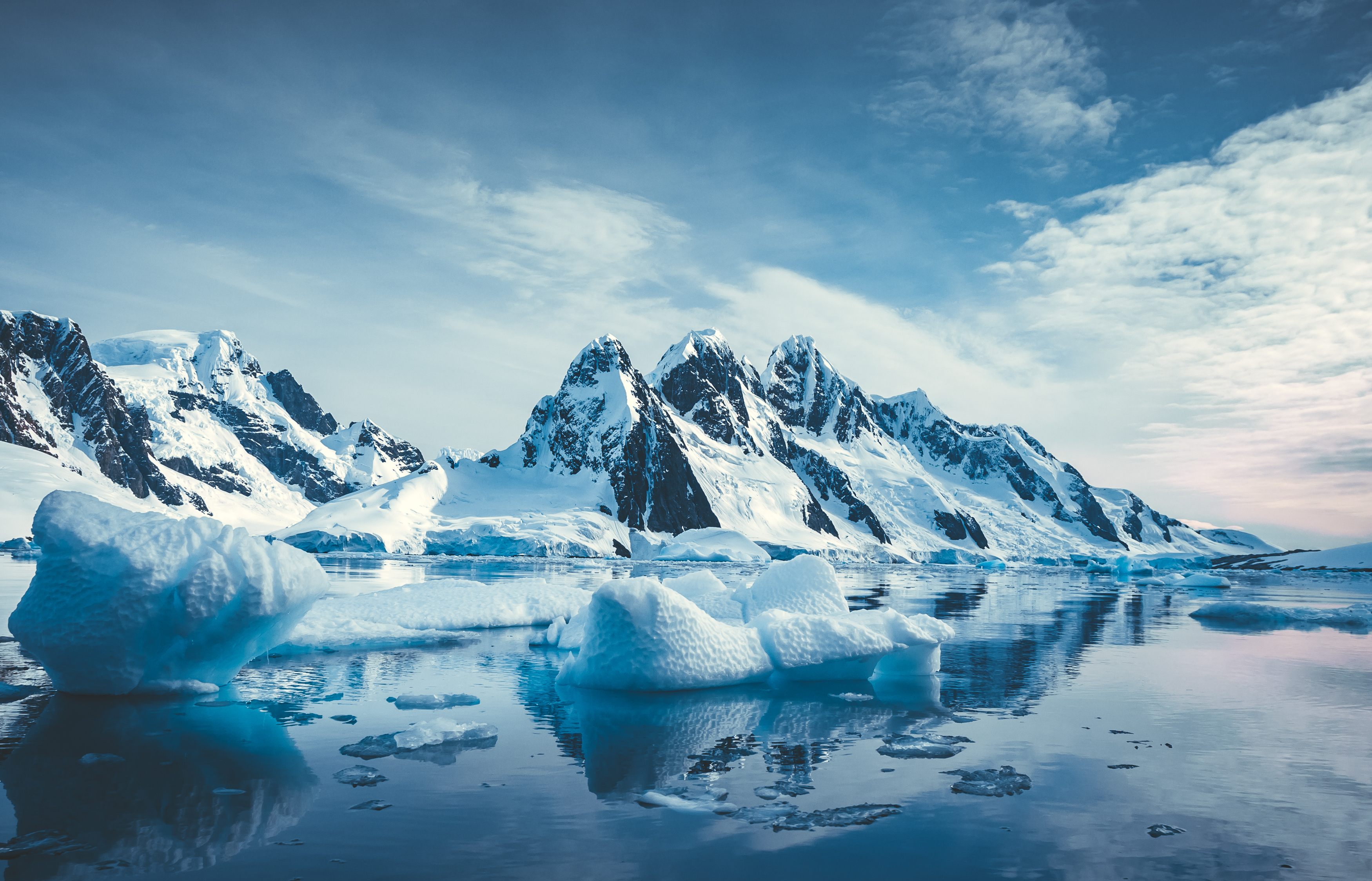 Arctic & Antarctica