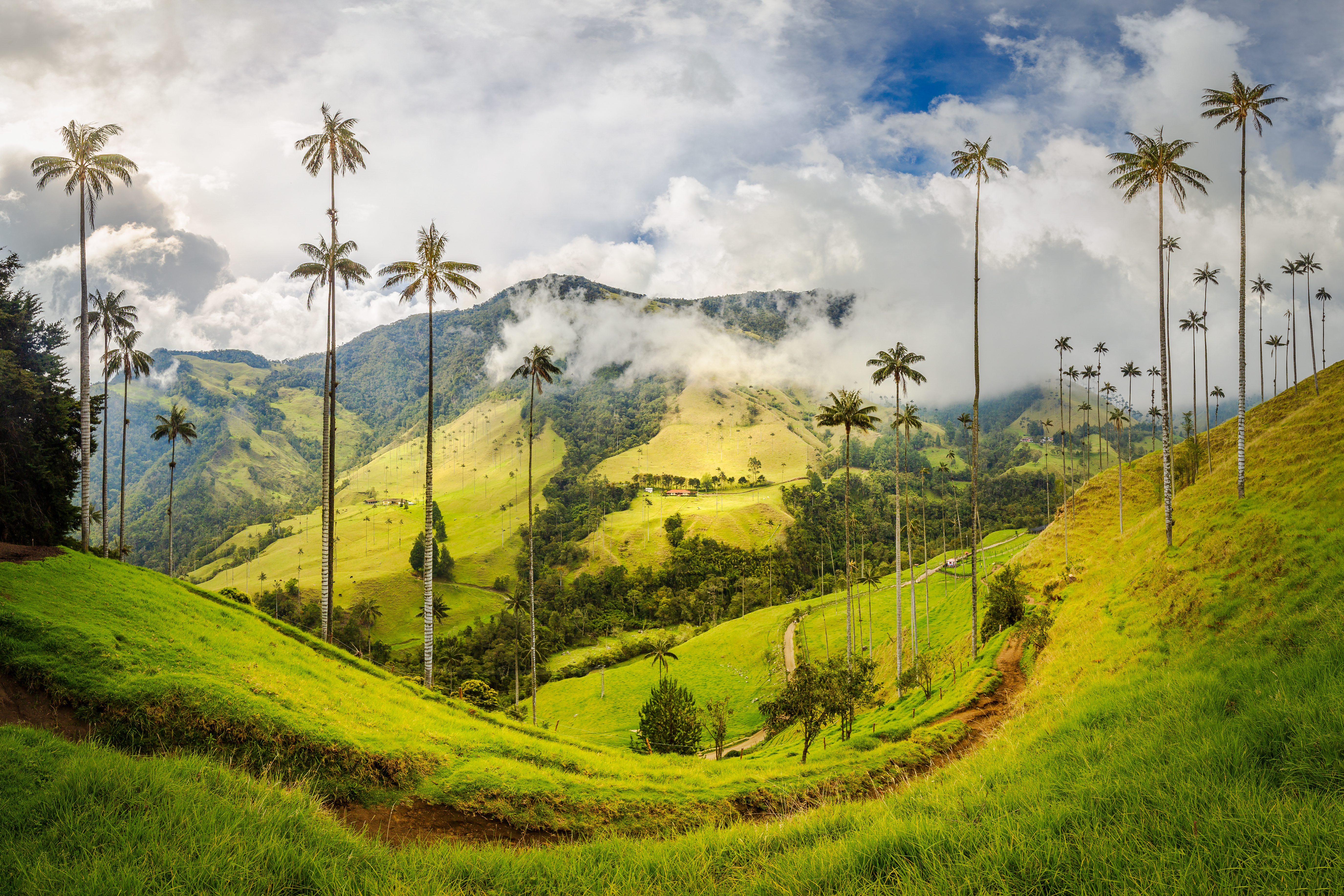 South America