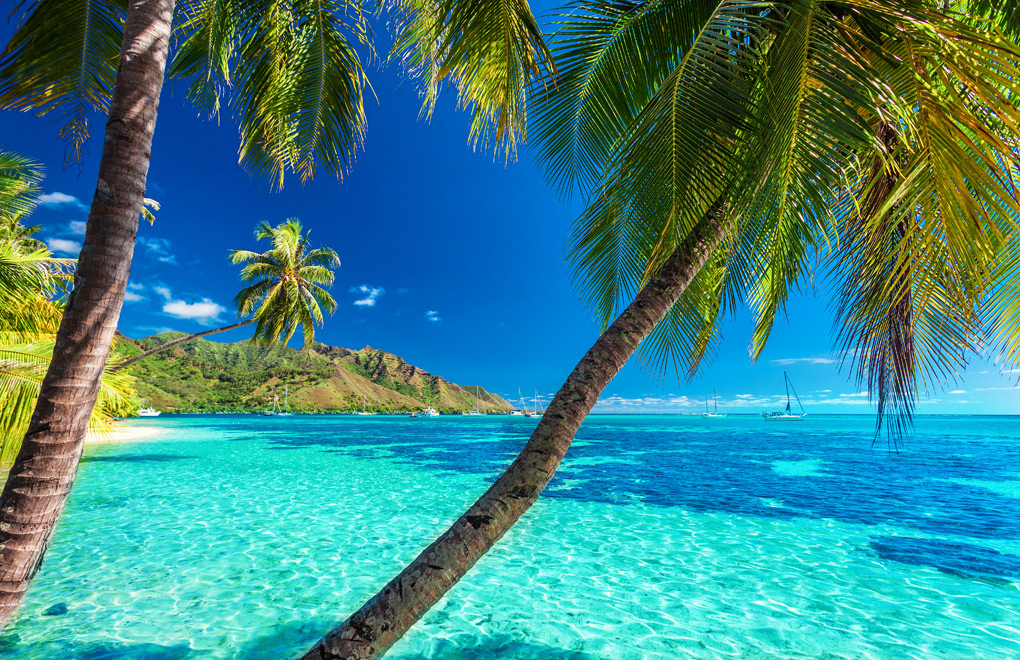 A Tahitian Beach, South Pacific Vacations, Tahiti Vacations