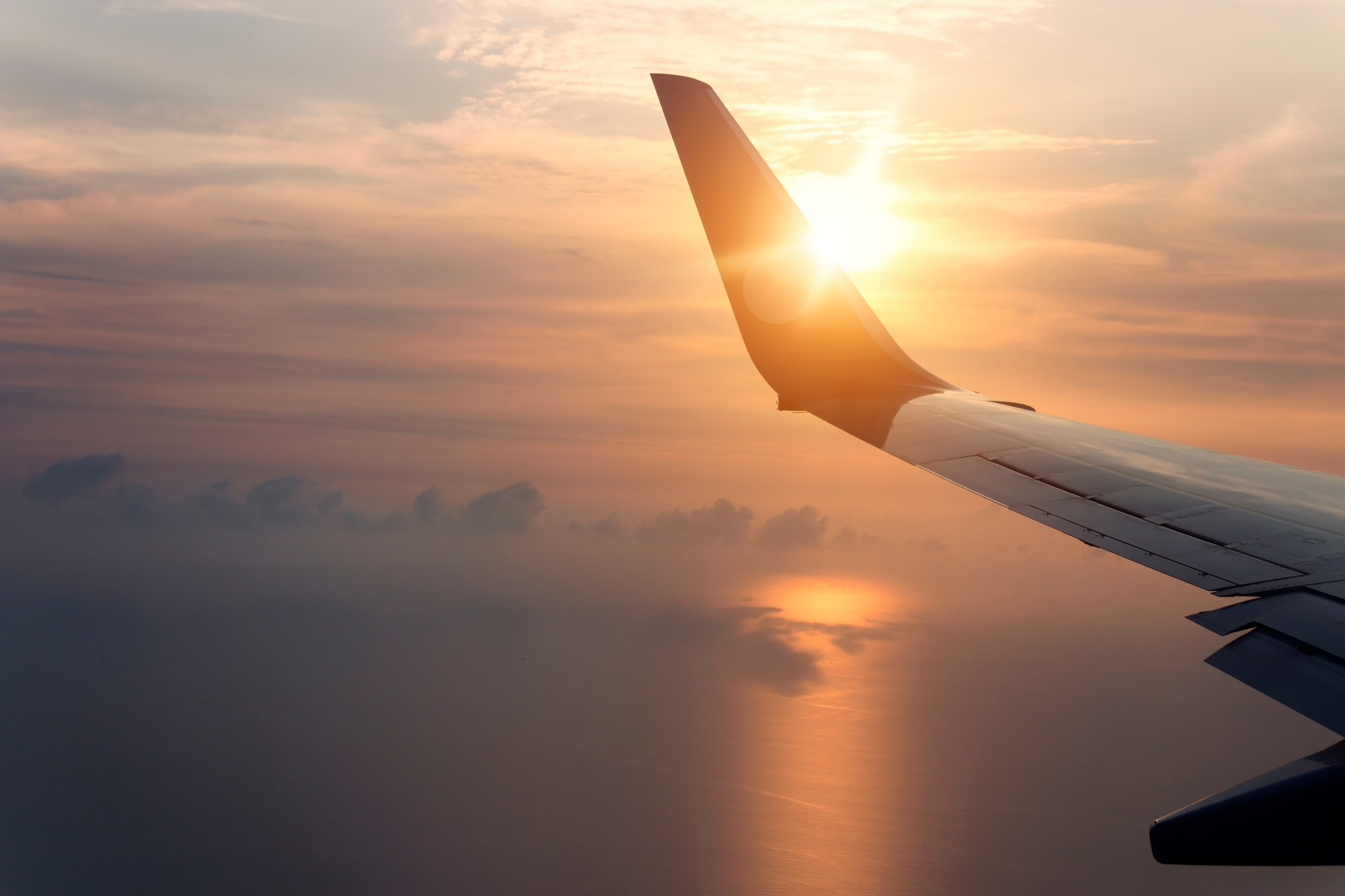 plane wing in the sky