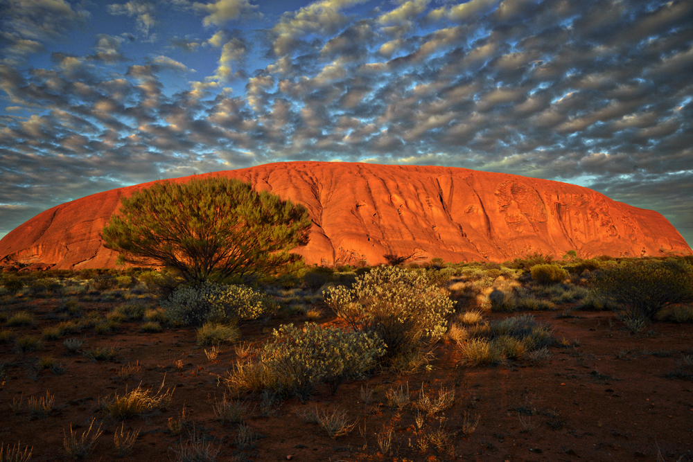 Ayers Rock (Uluru) in the morning, Northern Territory, Australia