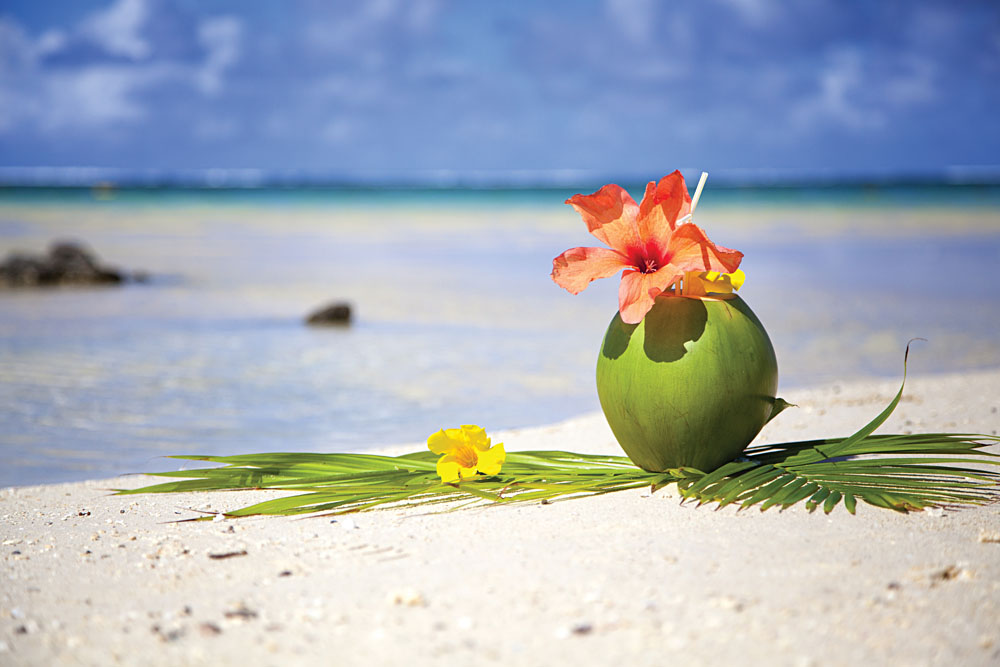 Coconut at the Beach of Mauritius
