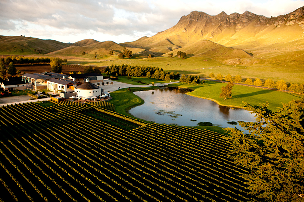 Janie Robinson - Craggy Range and Te Mata Peak, North Island, New Zealand