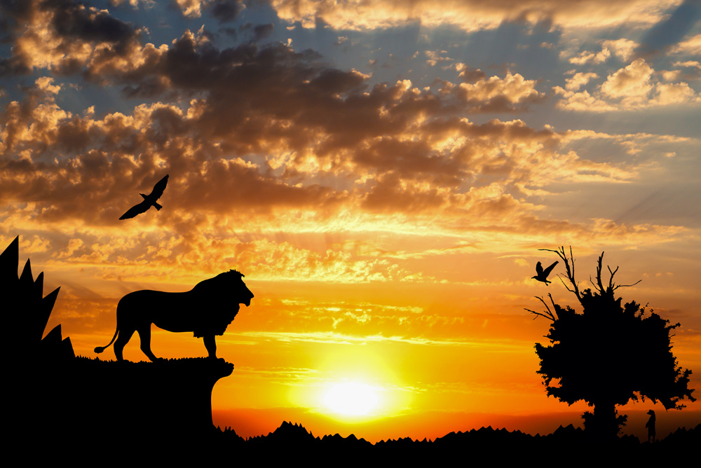 Jungle with mountains, old tree, birds, lion, and meerkat on golden cloudy sunset background, Africa