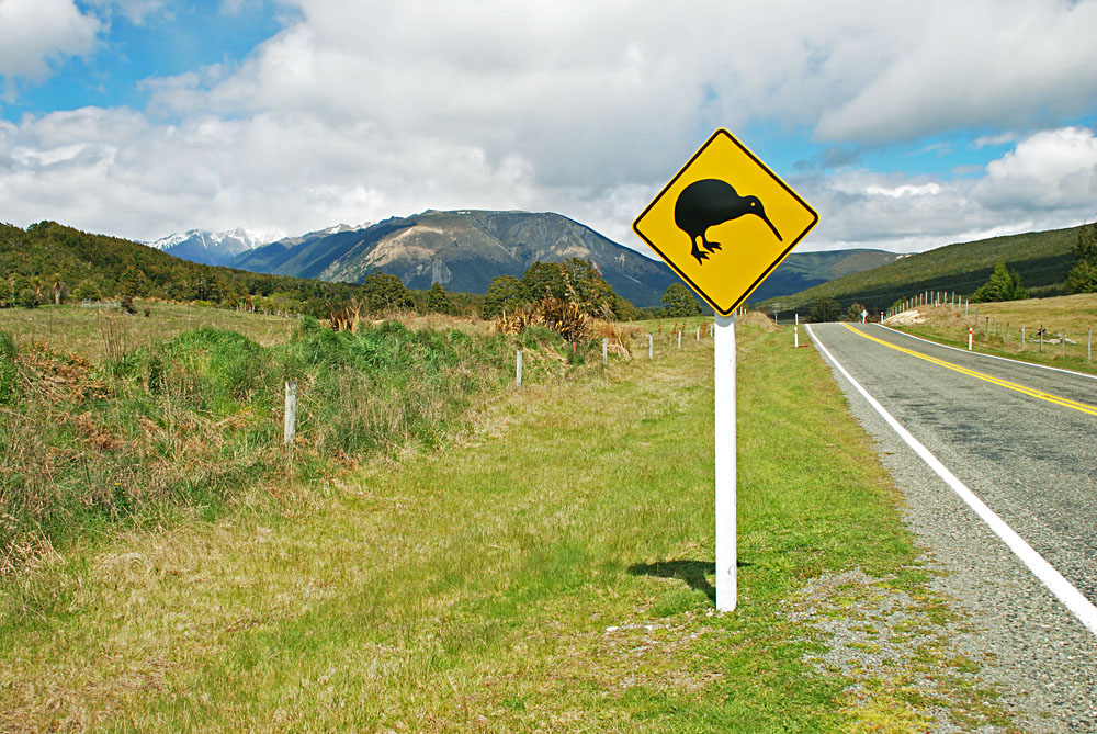 Kiwi Road Sign on Empty Road New Zealand