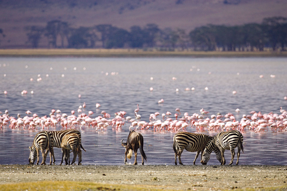 Lake Nakuru