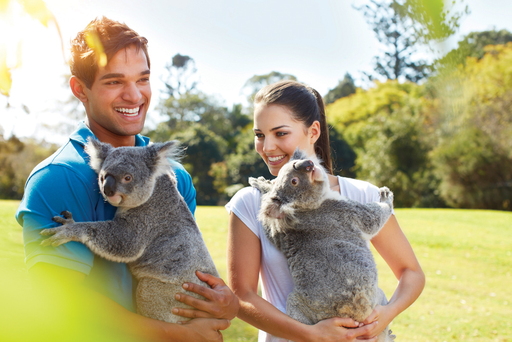 Lone Pine Koala Sanctuary in Brisbane, Queensland, Australia