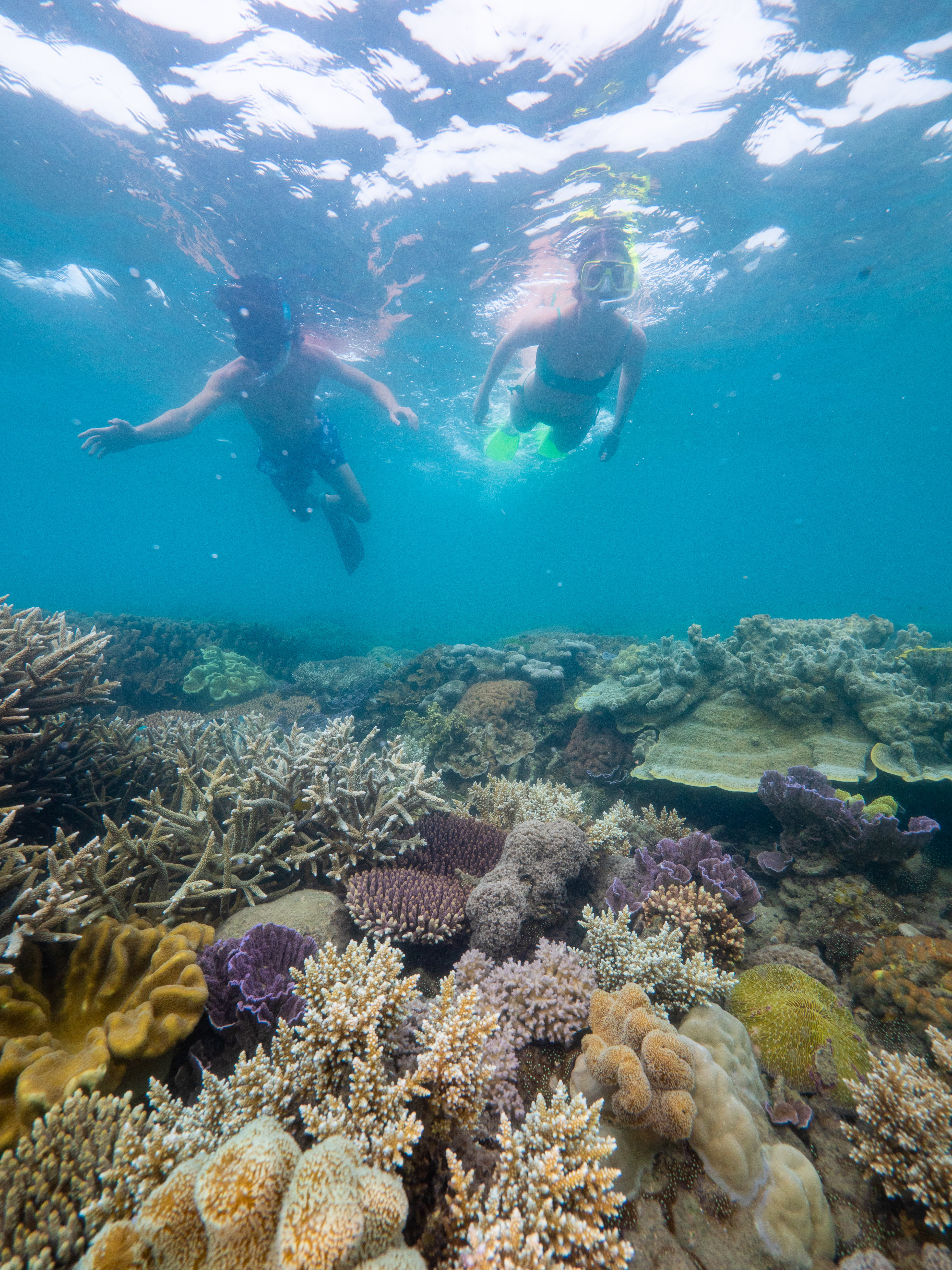 Two swimmers snorkel above a coral reef on Australia's Great Barrier Reef.