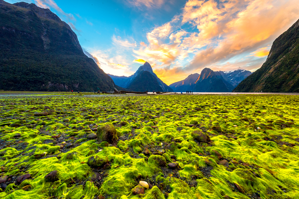 Sunset twilight at Milford Sound, New Zealand