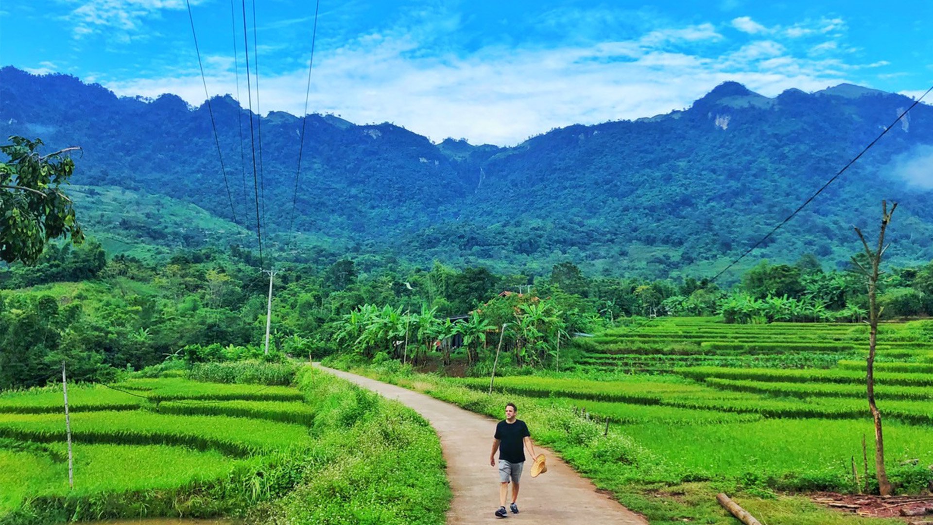 man walking through field alongside rice paddies