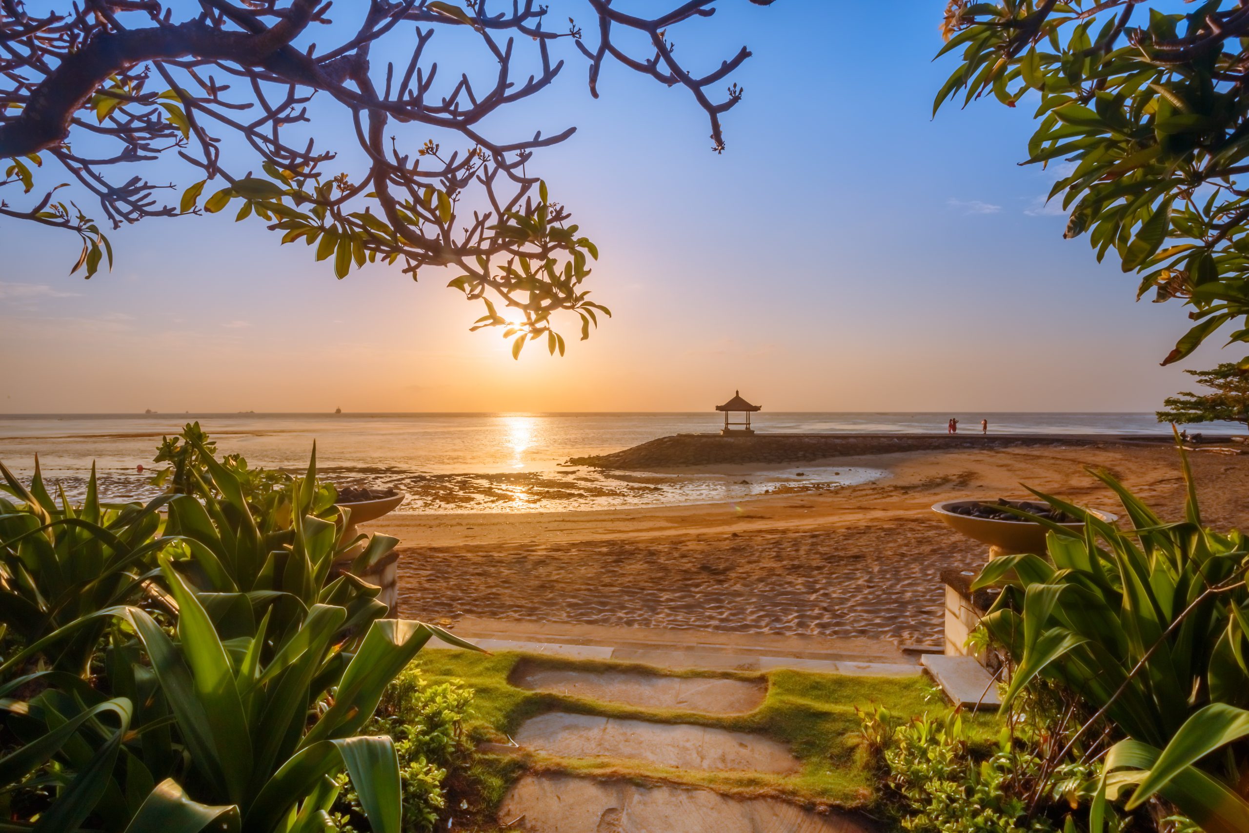 beach at sunset with plants surrounding