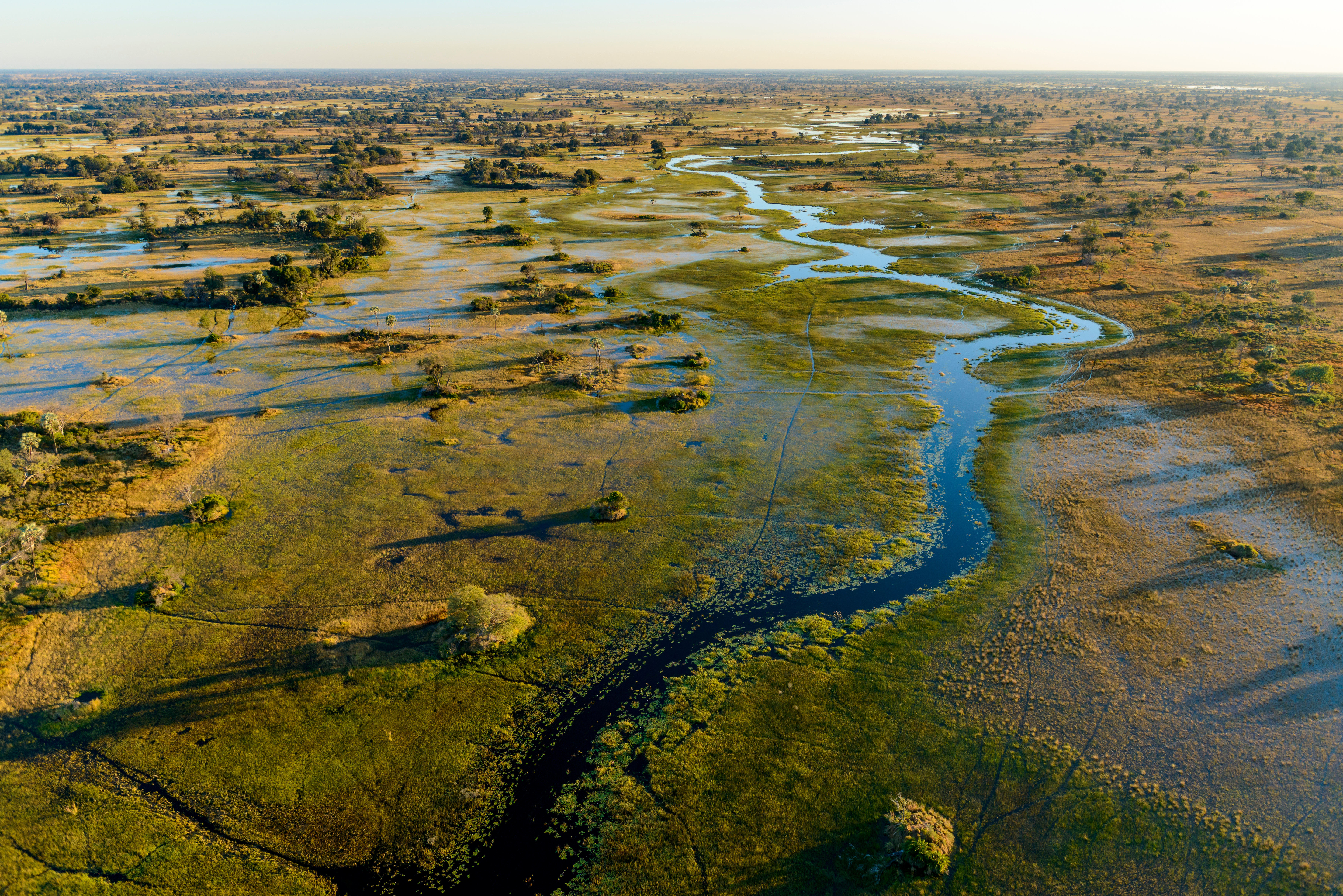an aerial view of the waterways and flooded plains of the Okavango Delta in Botswana