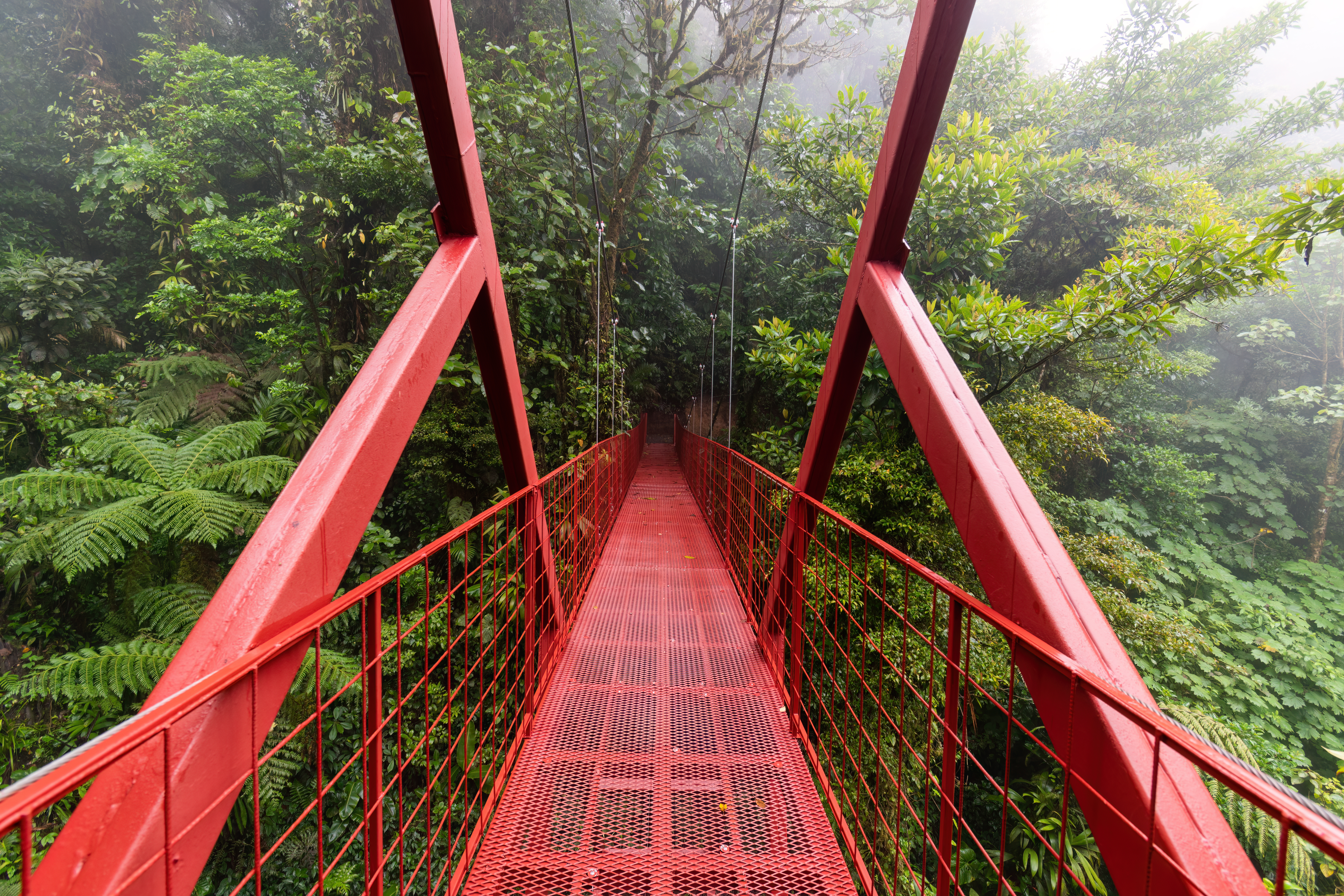A red hanging bridge cuts through the cloud forest of Monteverde on a Costa Rica vacation.