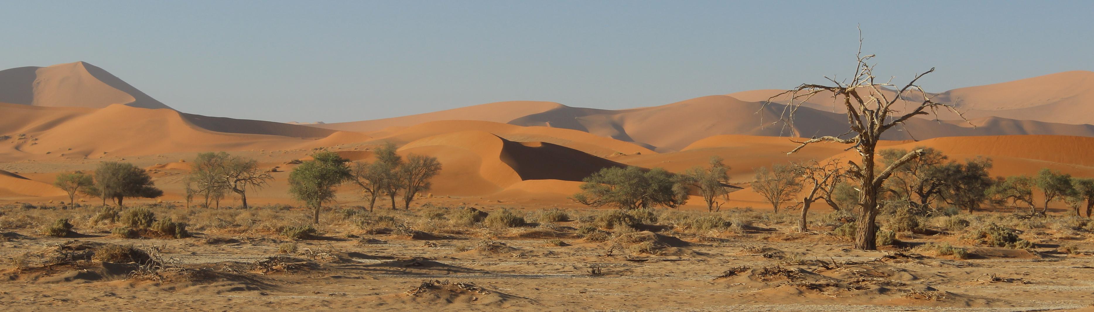 Bill and Theresa’s incredible Namibian adventure