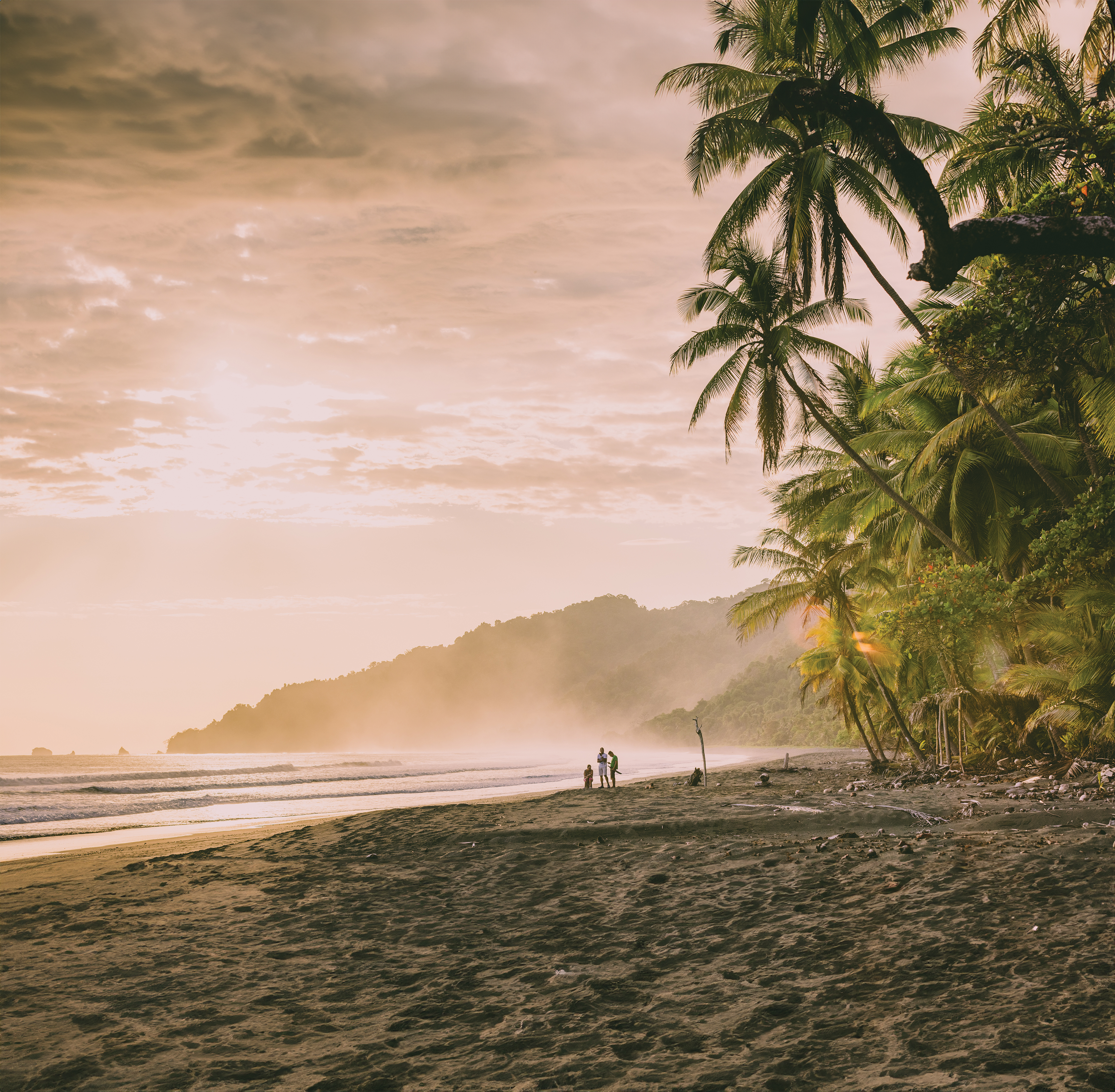 people on beach in morning with palm trees, sand and mist
