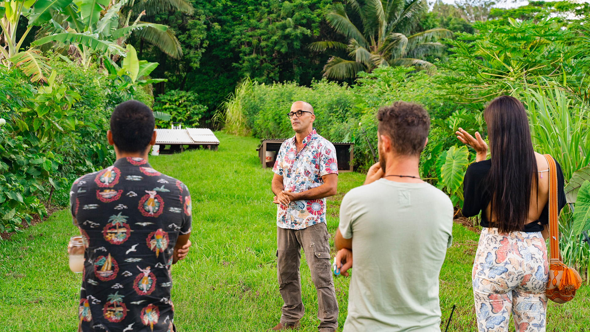 meeting in the park in hawaii