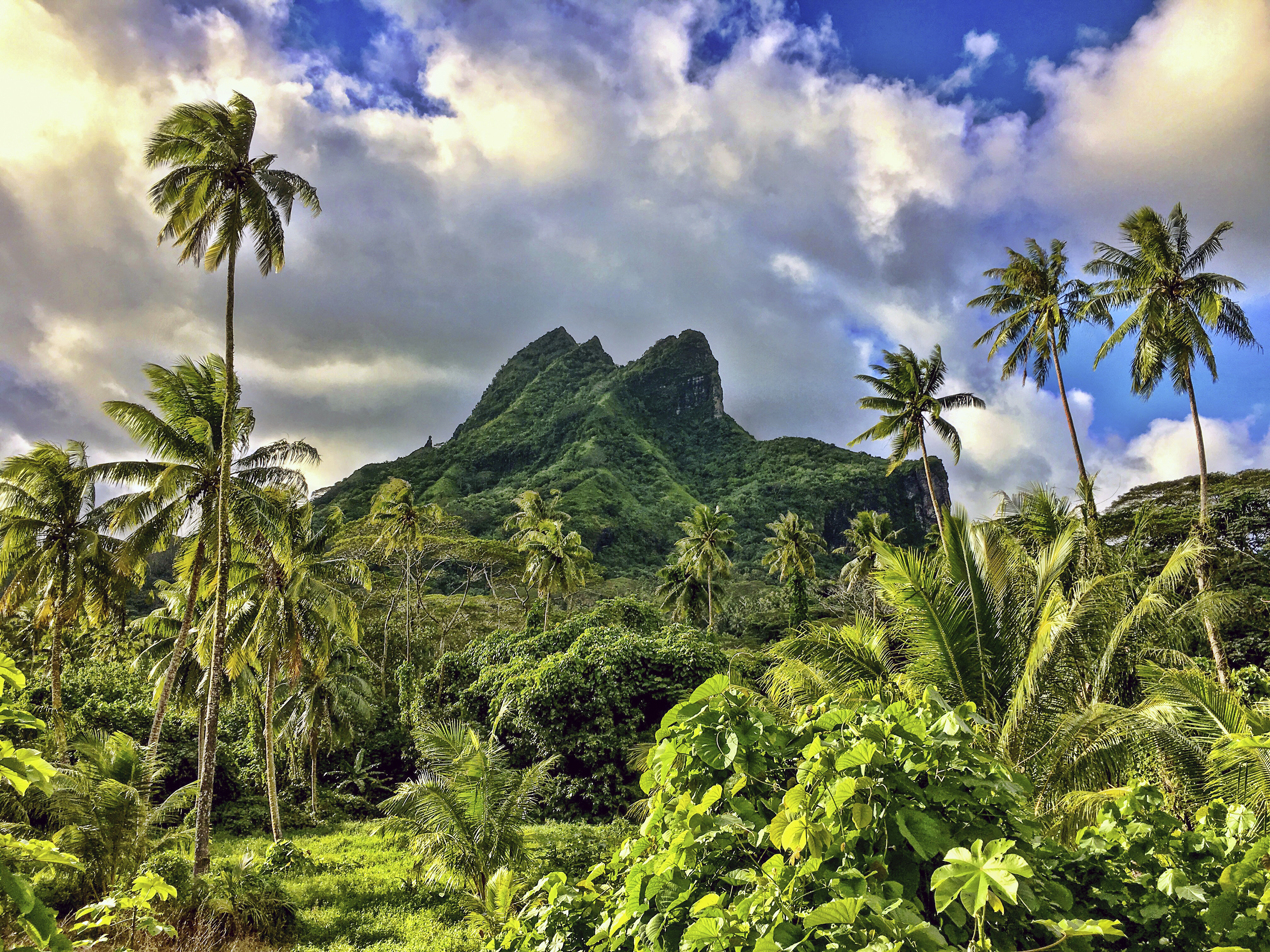On a drive around Raiatea Island we came across this amazing landscape. Tall coconut palms and an ancient extinct volcano. French Polynesia.