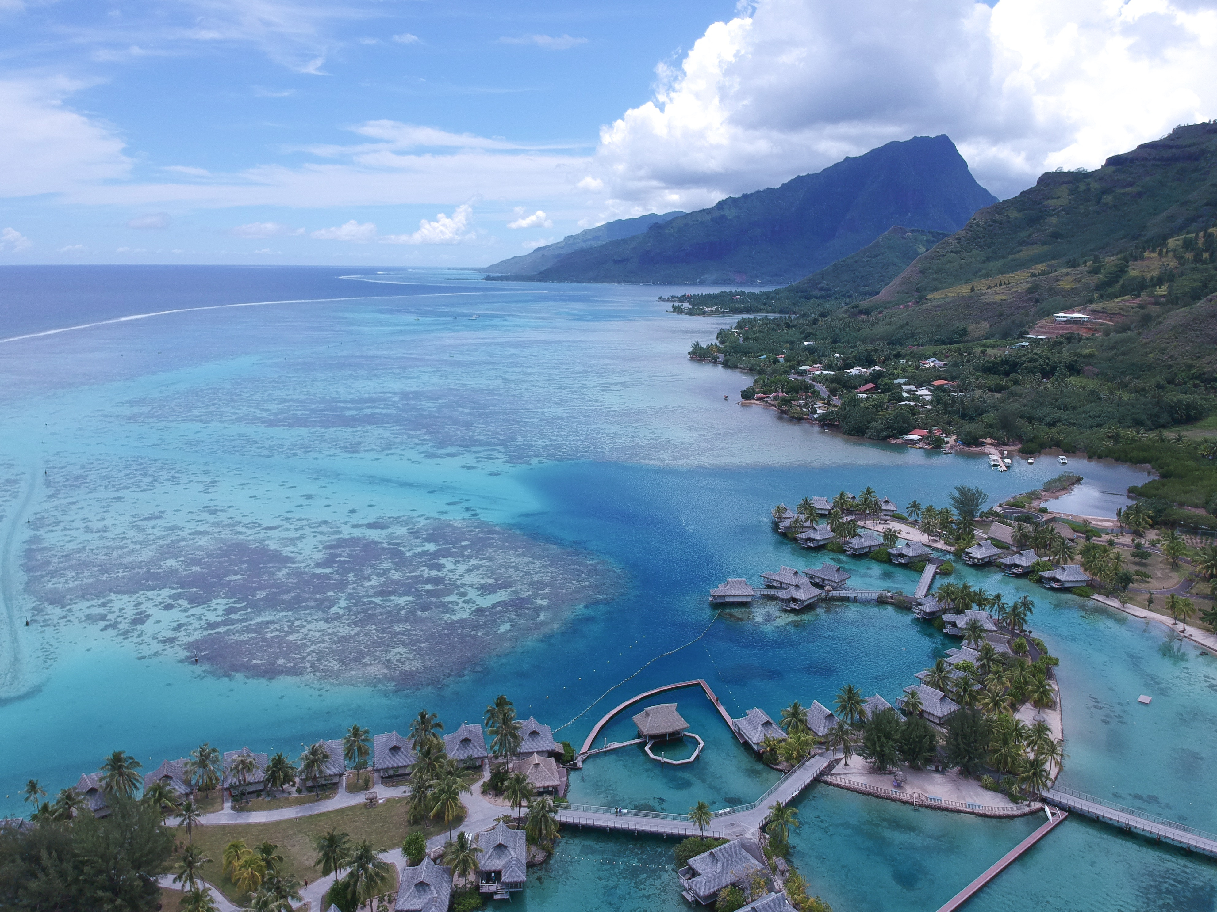 Tropical beach scene in Moorea