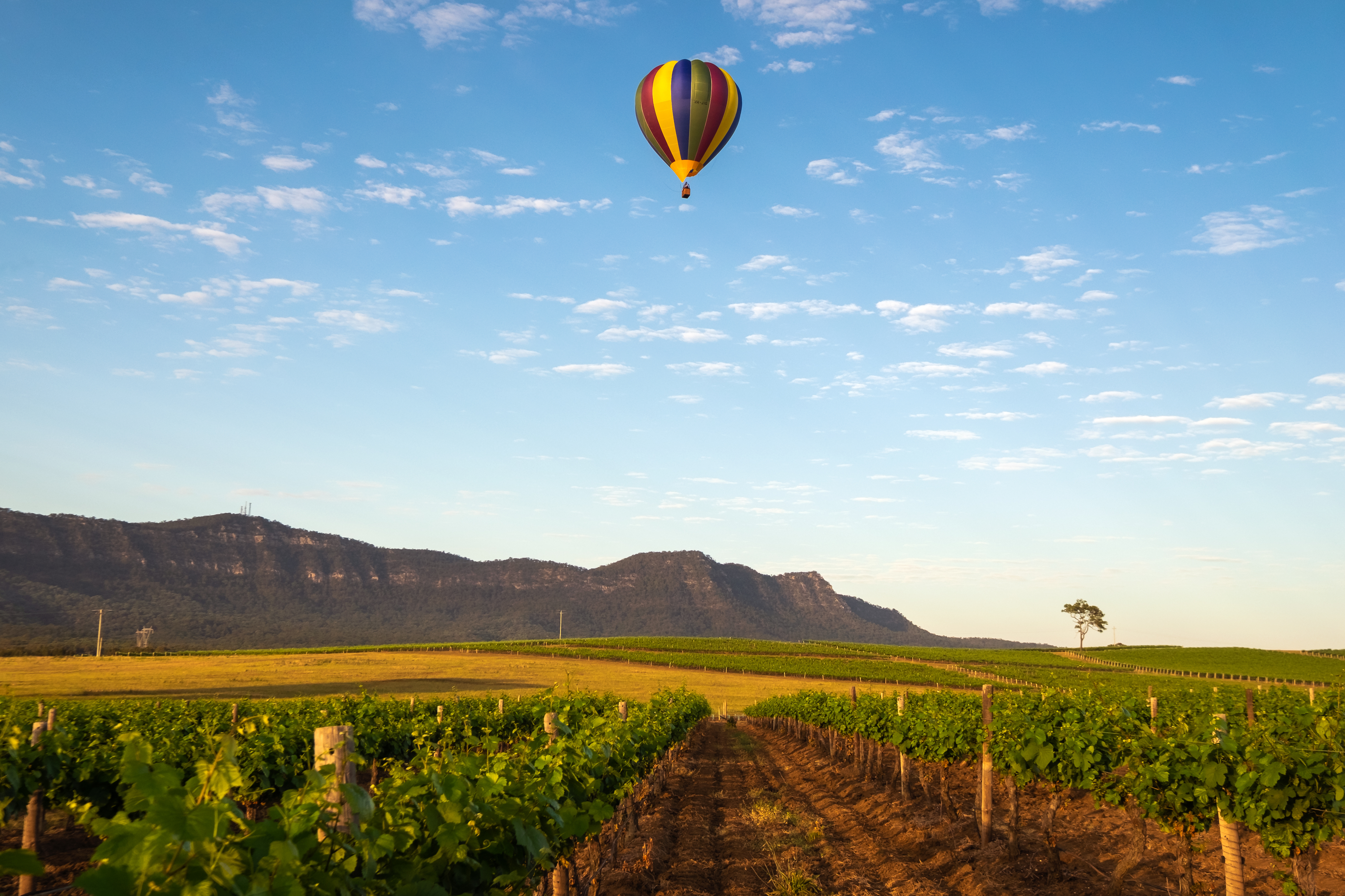 Hunter Valley Hot Air Ballooning