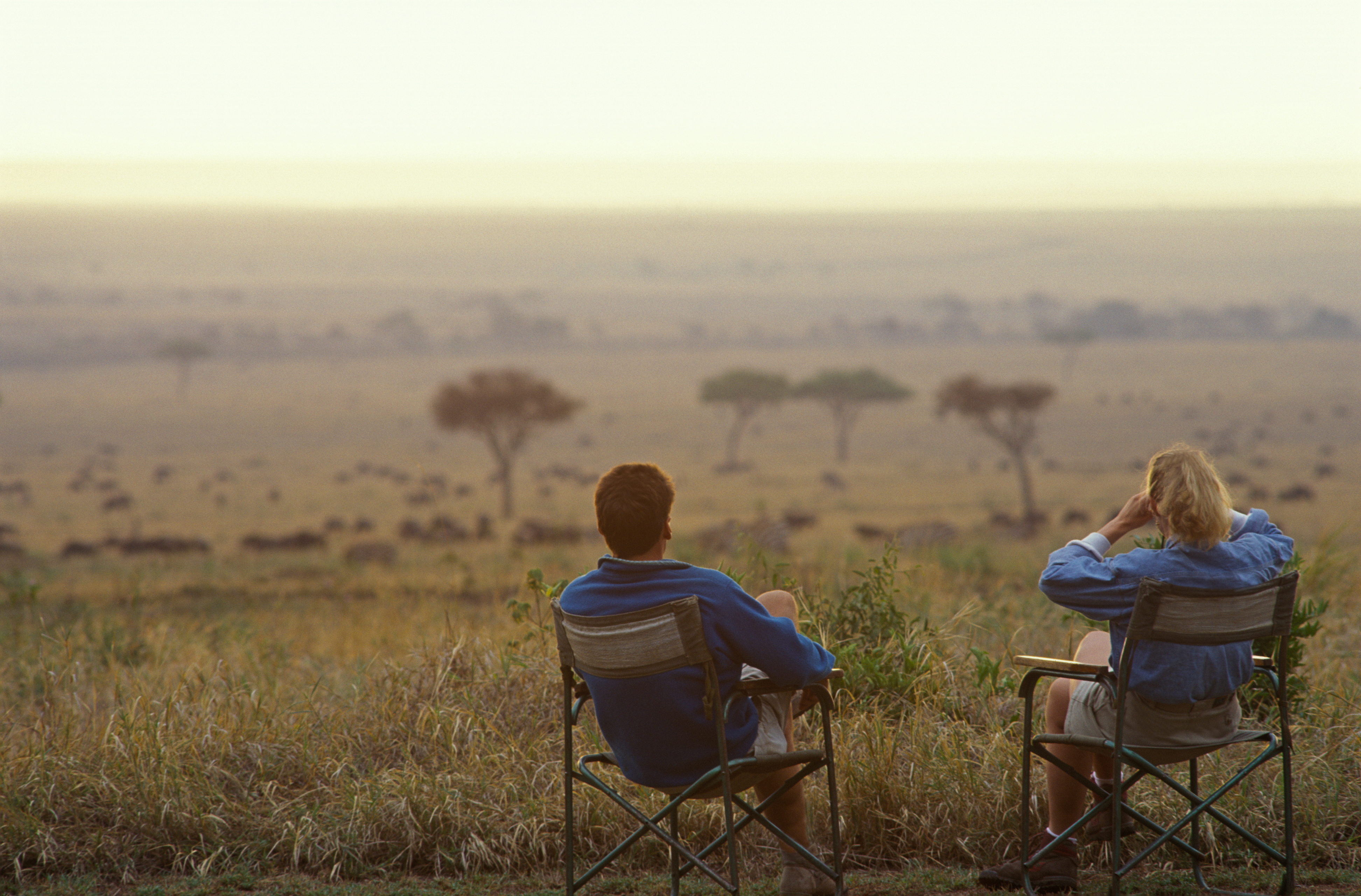  Couple relax in armchairs on the savannah