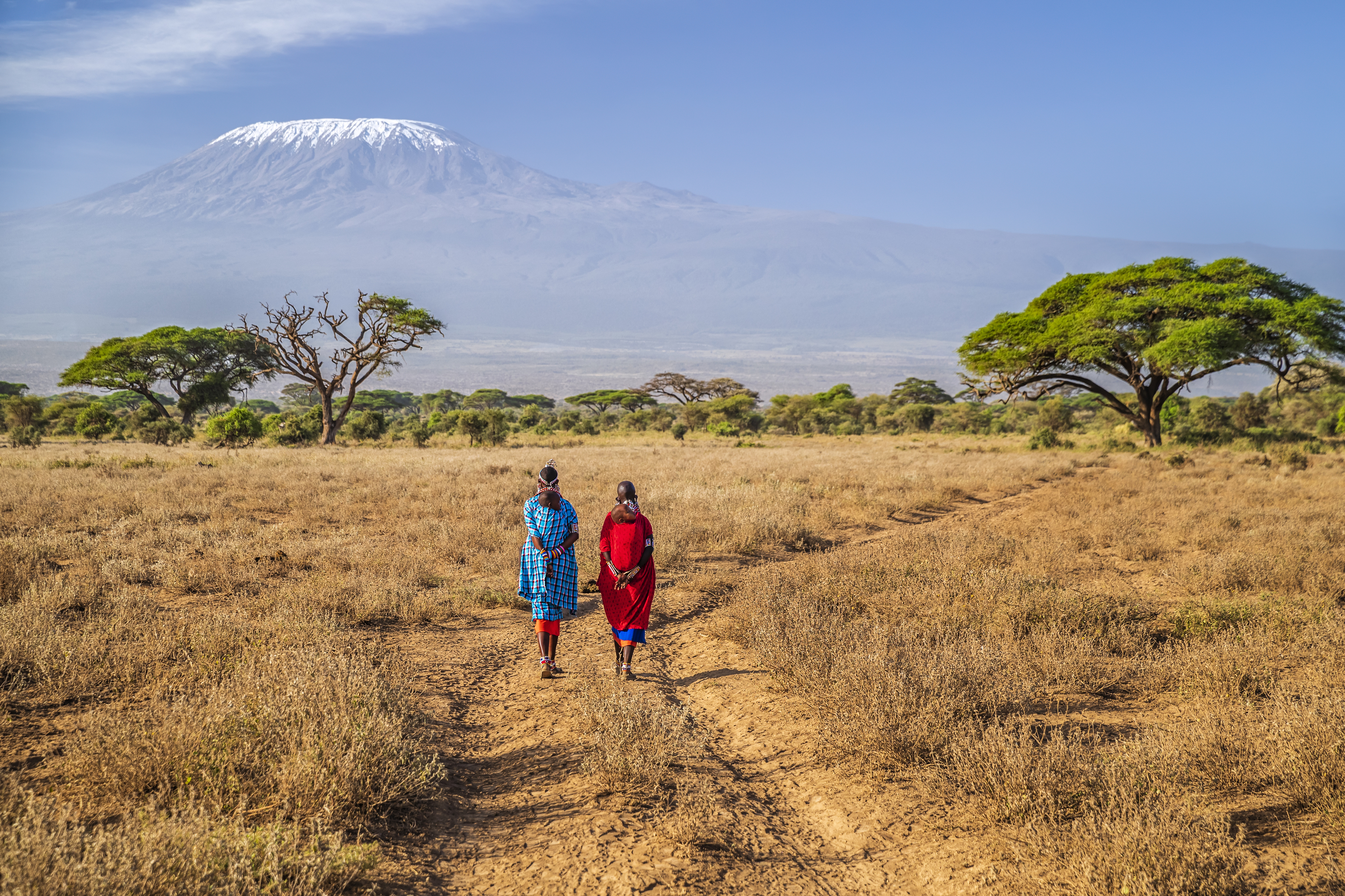 Two African women from Maasai tribe crossing savannah with offspring on their back, Mount Kilimanjaro on the background, central Kenya, Africa. Maasai tribe inhabiting southern Kenya and northern Tanzania, and they are related to the Samburu.