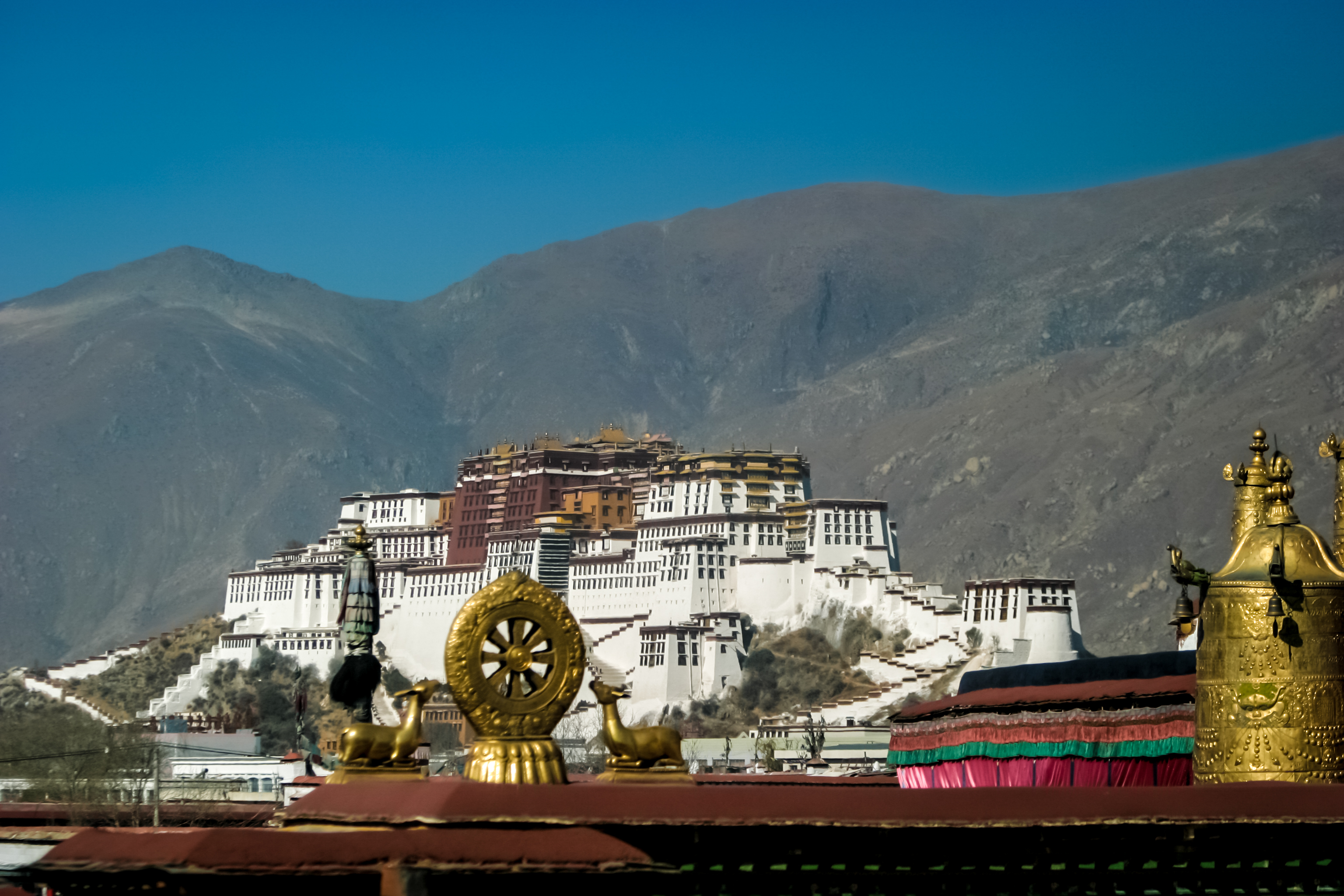 Jokhang Temple Gold Dharma Wheel with the Potala Palace