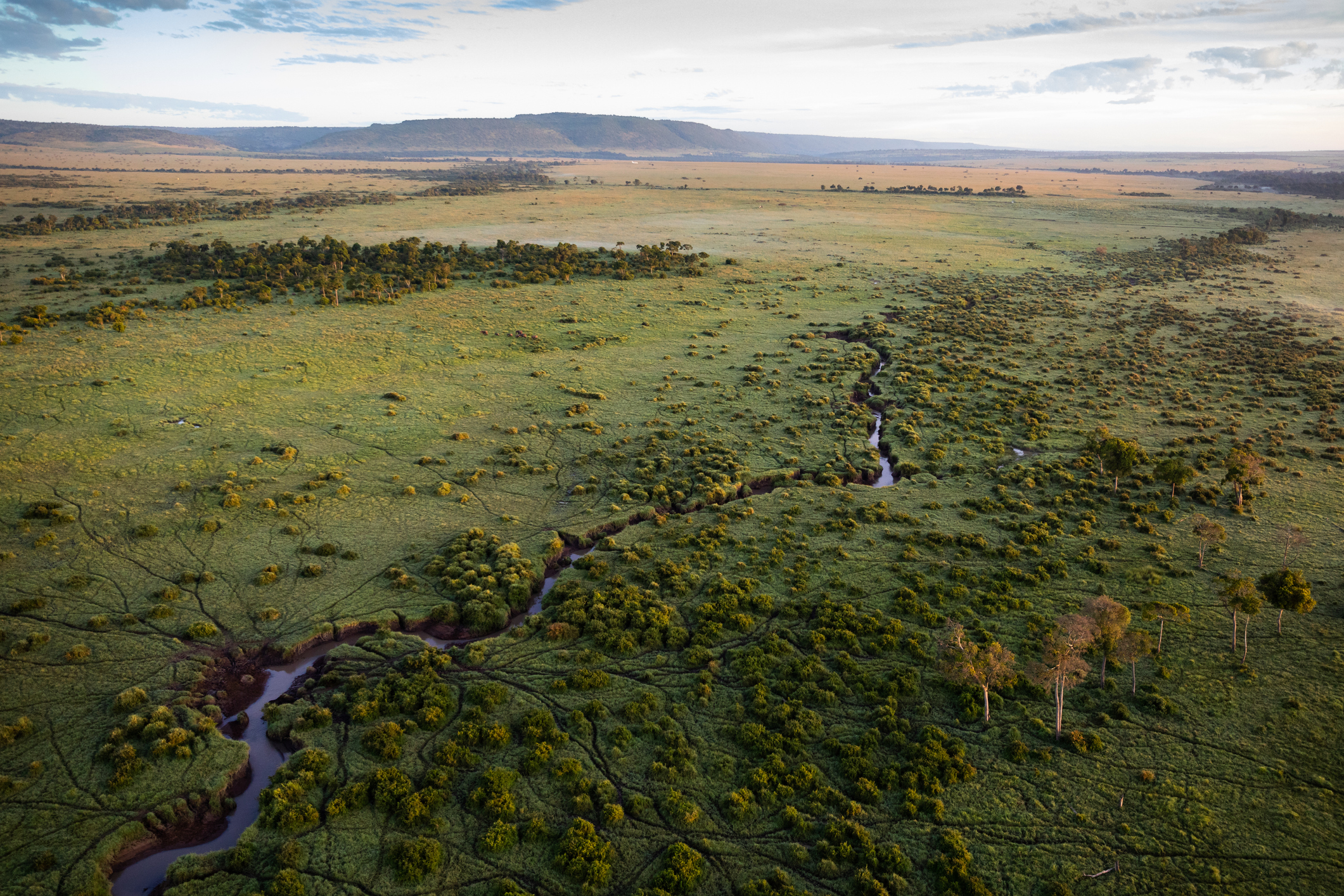 Maasai Mara Aerial View.