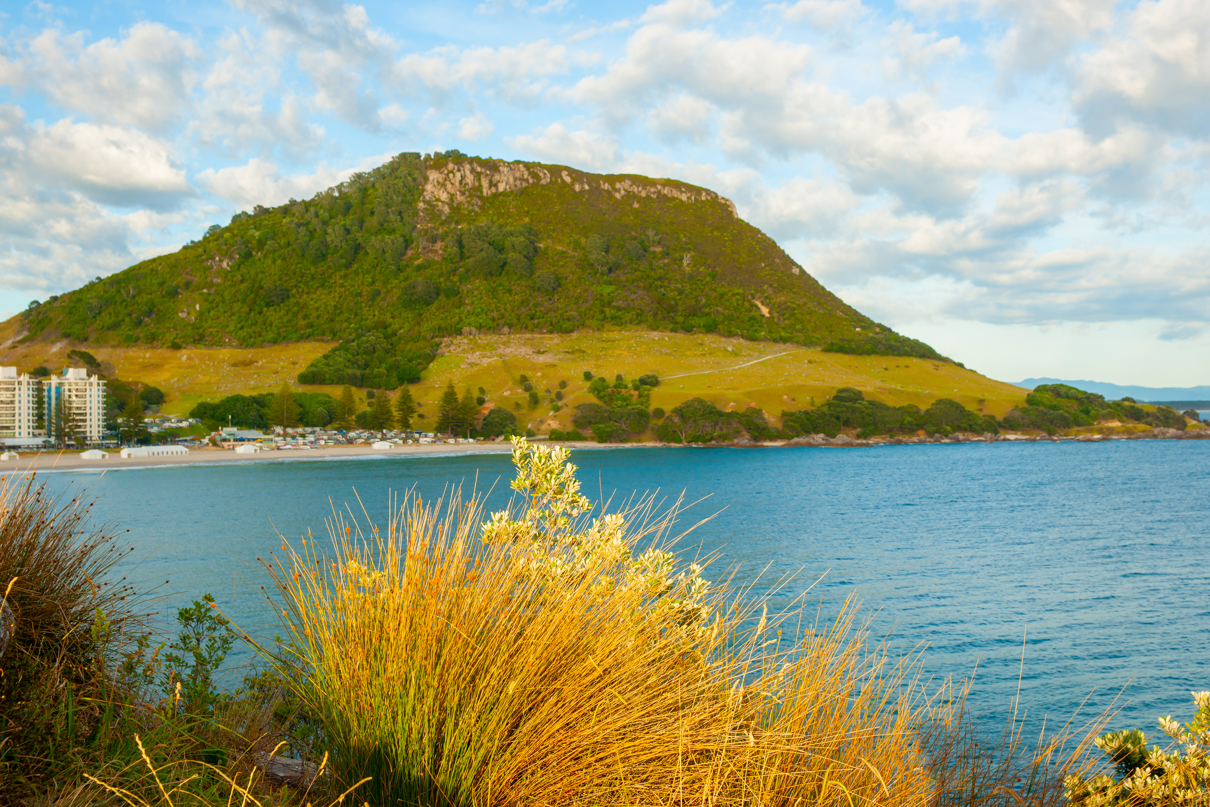 Beyond golden toned reeds bright in sunrise in Mount Maunganui stands tall across Main Beach from rocky Moturiki Island with clouds making pattern in sky.