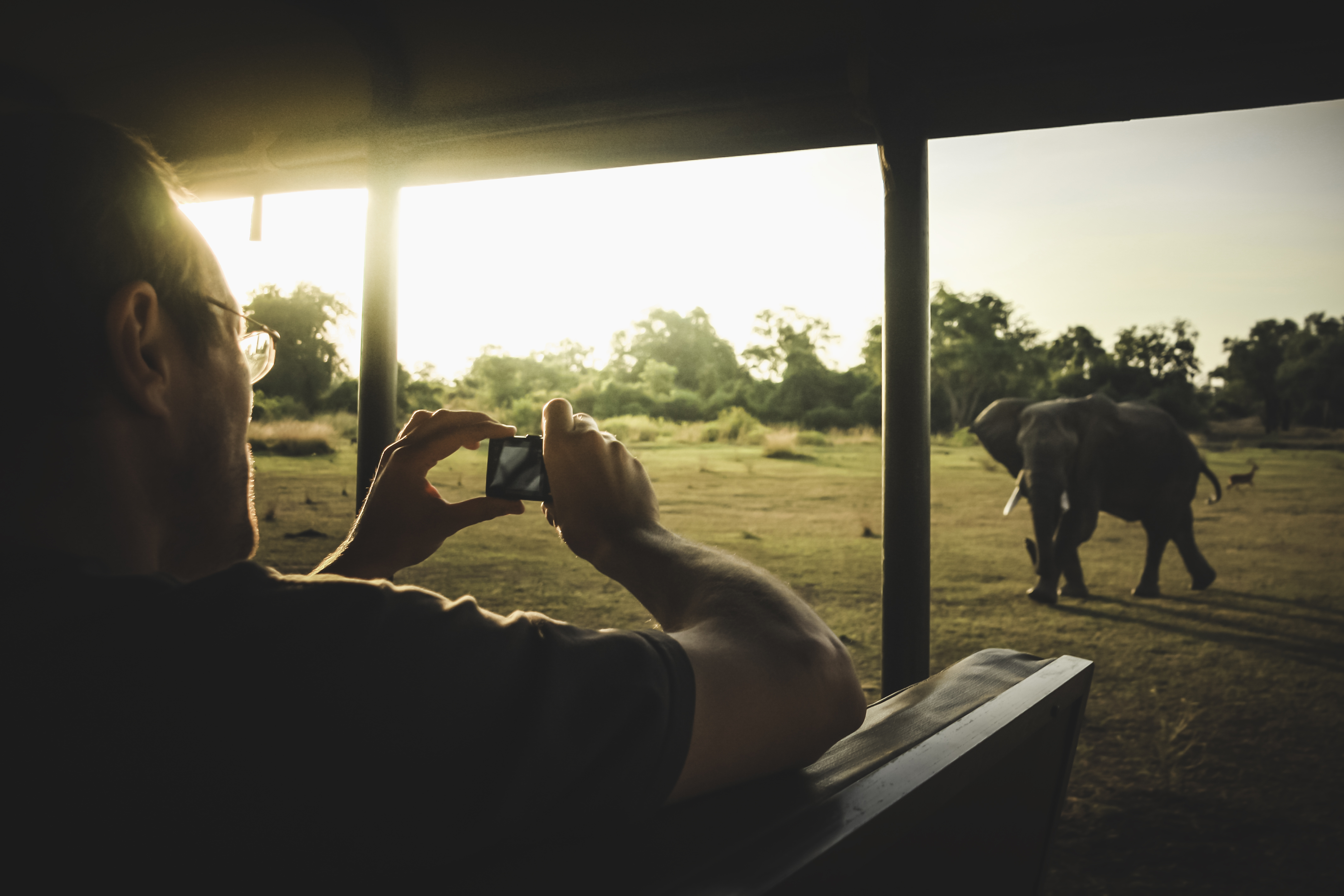 Man taking photo of a charging elephant from a safari vehicle, Zambia, Africa