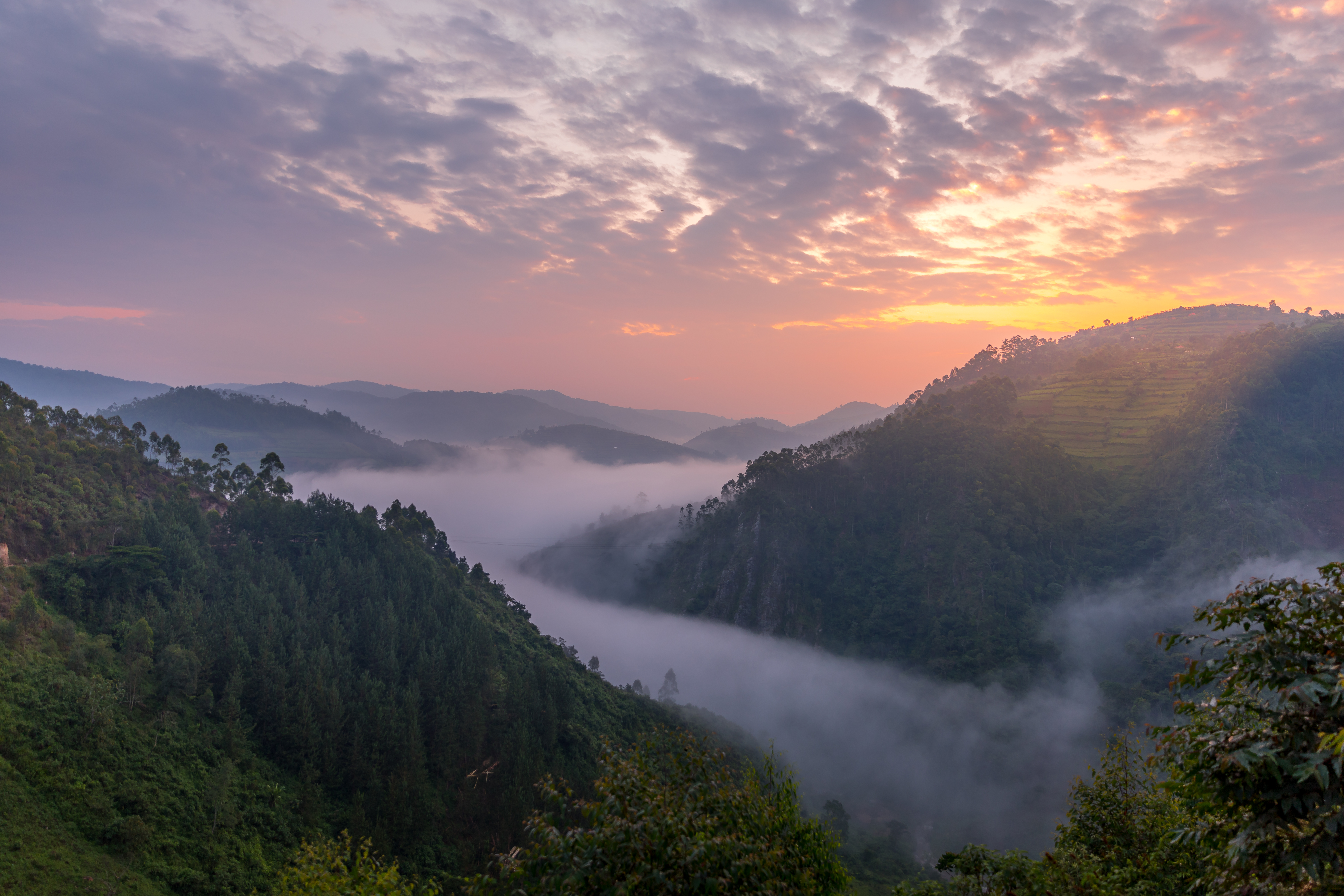 Beautiful landscape in southwestern Uganda, at the Bwindi Impenetrable Forest National Park, at the borders of Uganda, Congo and Rwanda. The Bwindi National Park is the home of the mountain gorillas