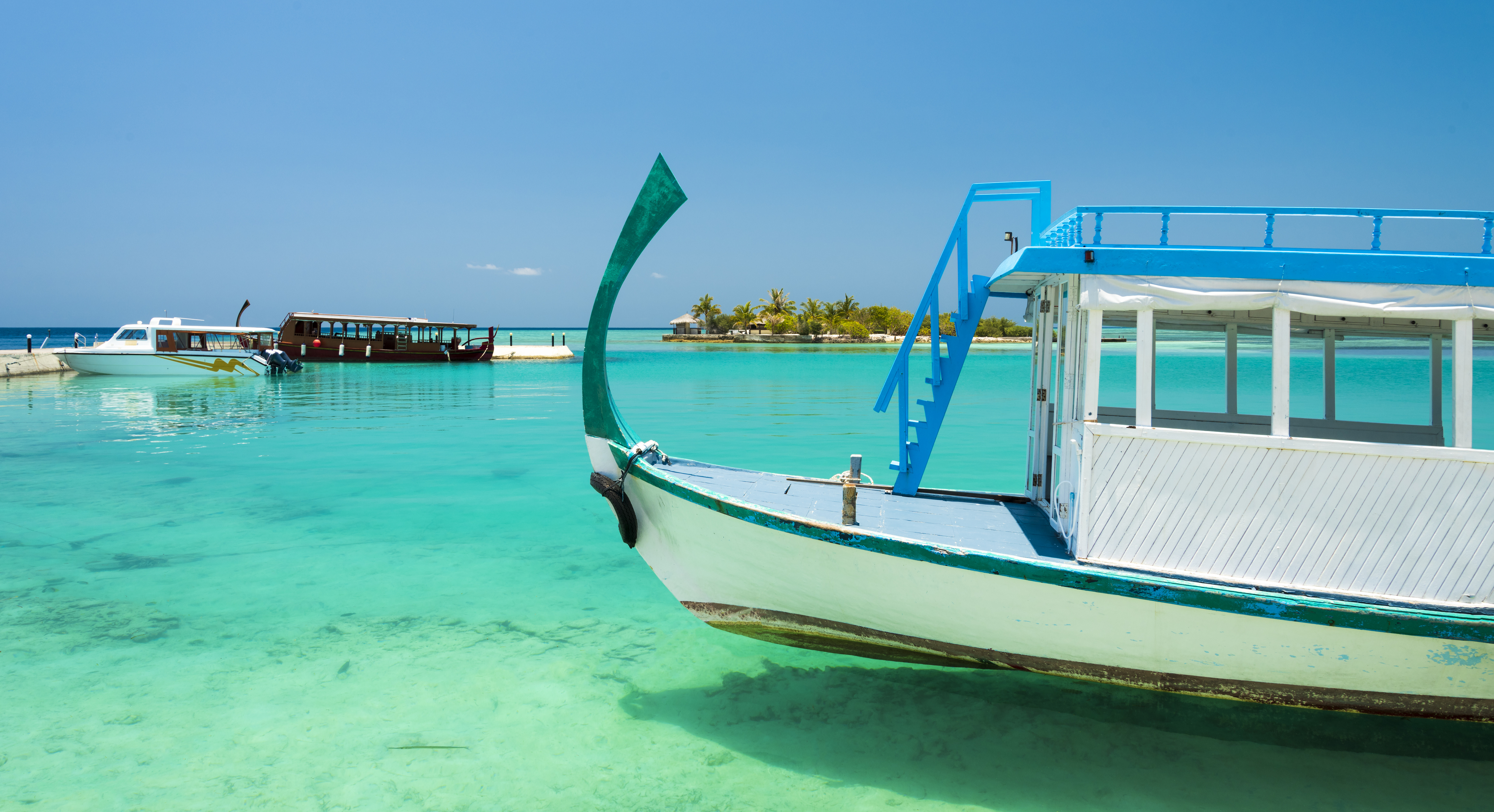 Perfect tropical island Maldives paradise beach Beautiful palm trees and tropical beach