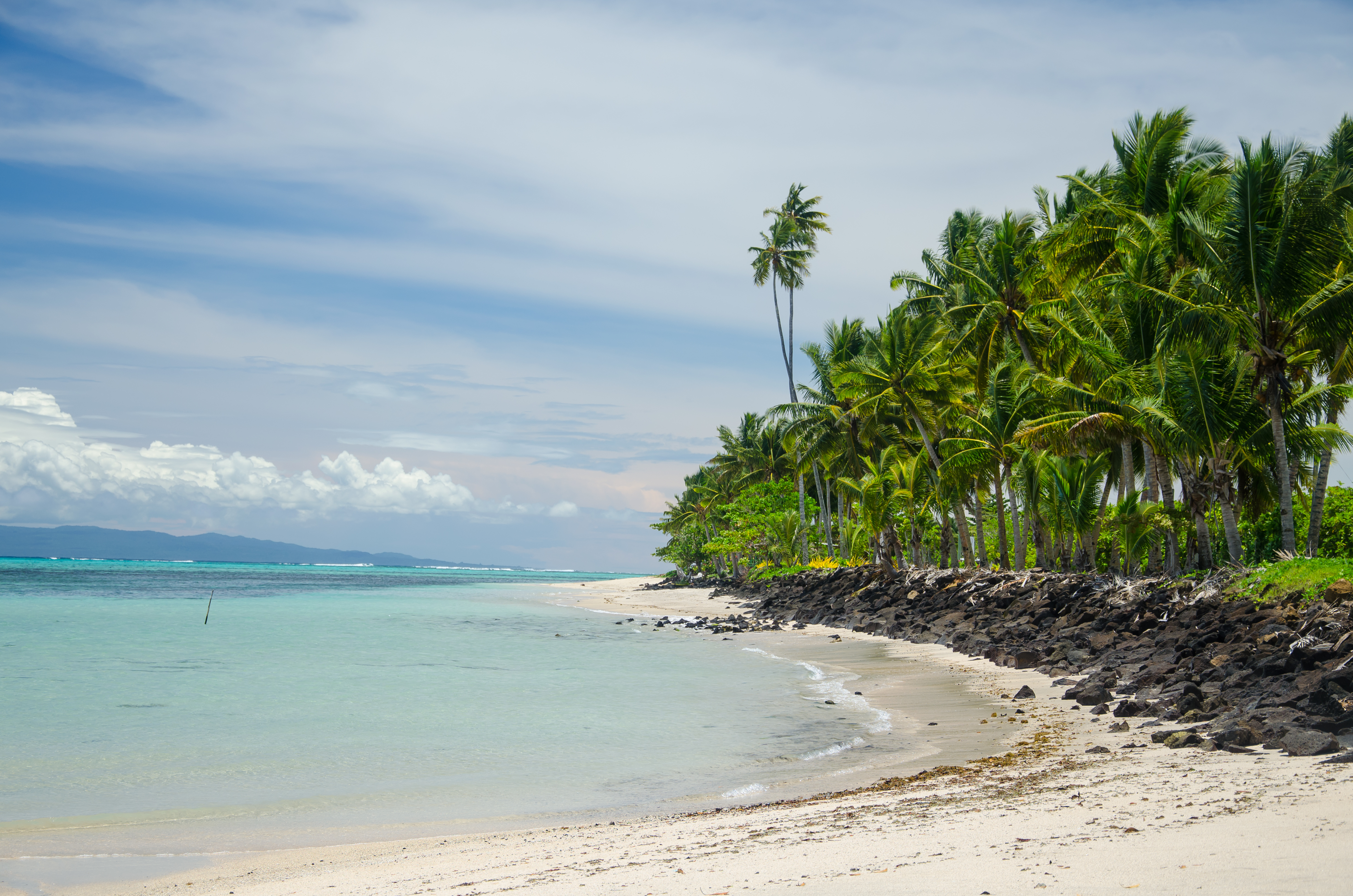 A beach surrounded by palm trees and the sea under the sunlight in the Savai'i Island, Samoa