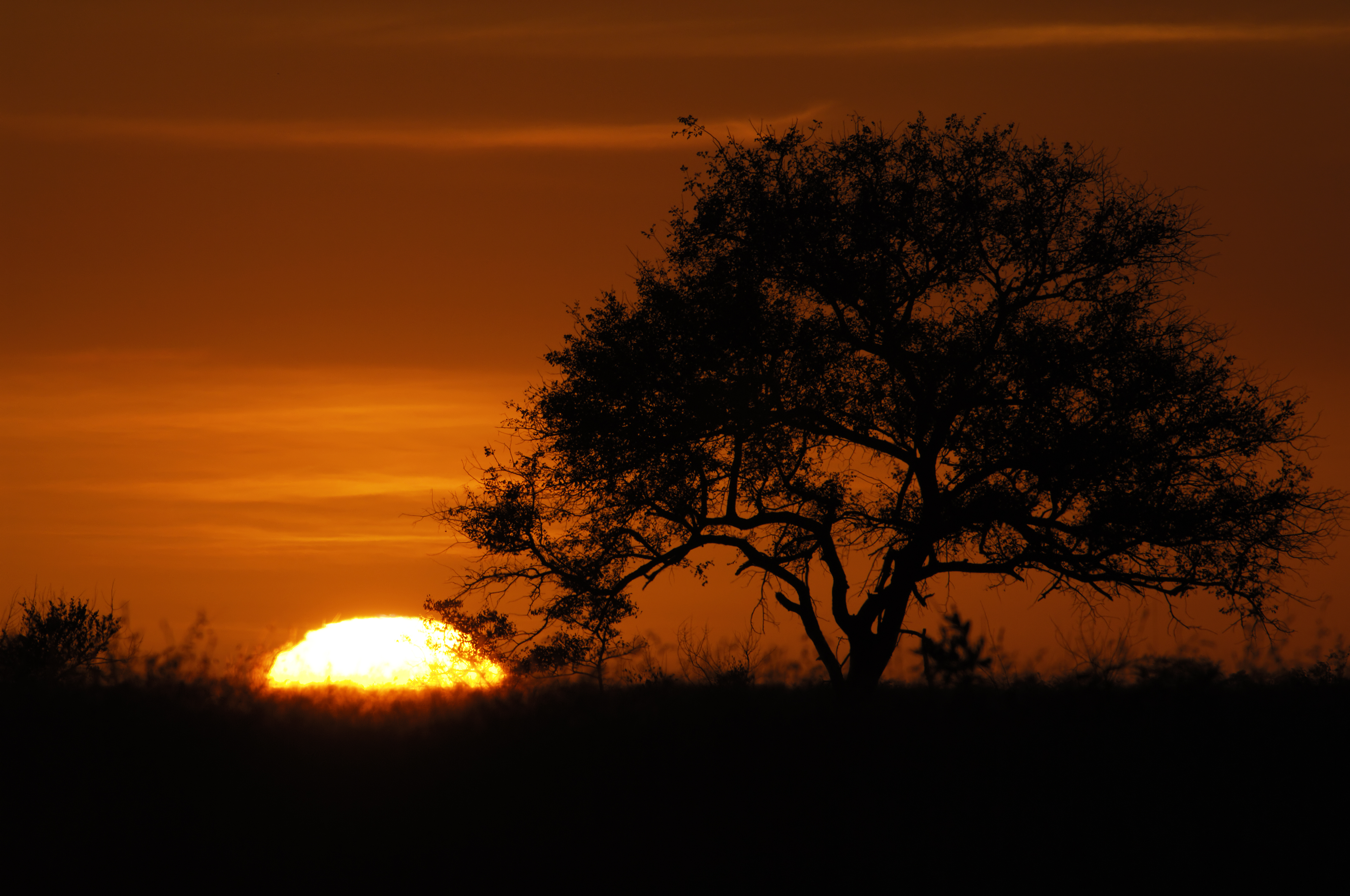 Sabi Sabi Game Reserve - Sabi Sands - Kruger National Park - South Africa