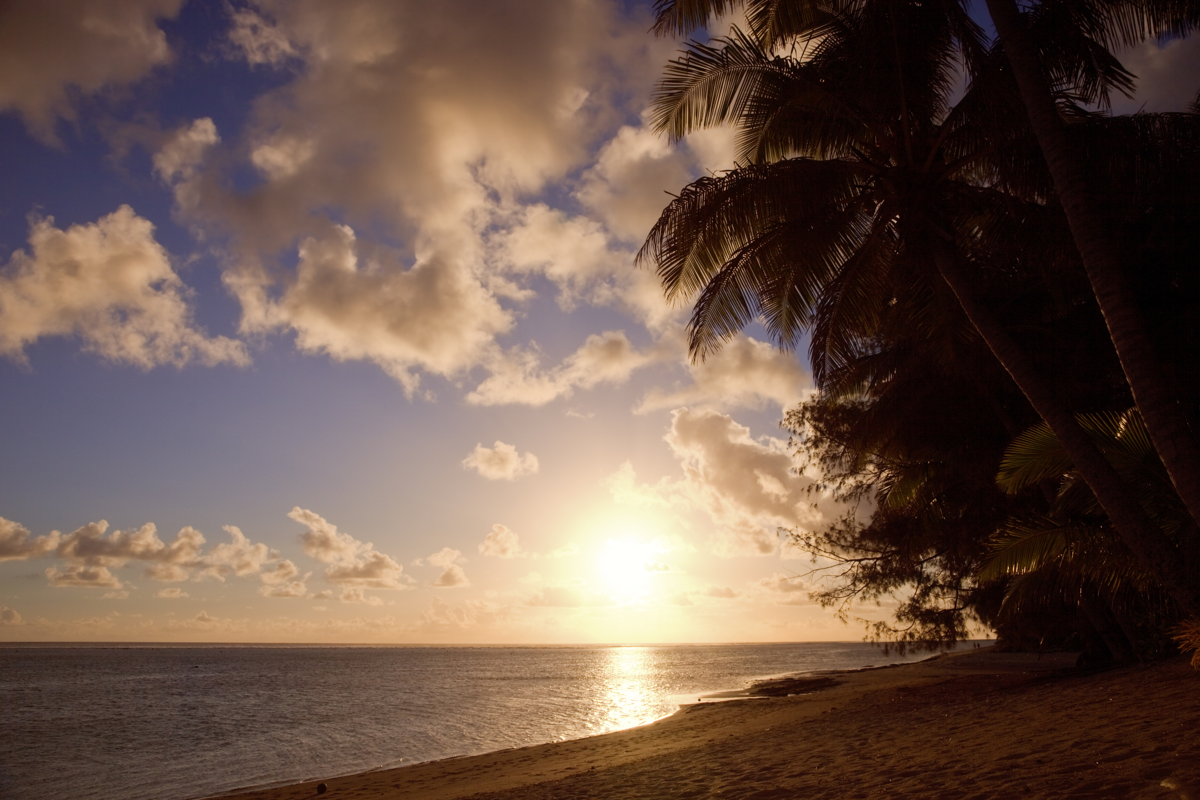 Tropical Beach with Coco Palms at Sunset - Rarotonga, Cook Islands, Polynesia