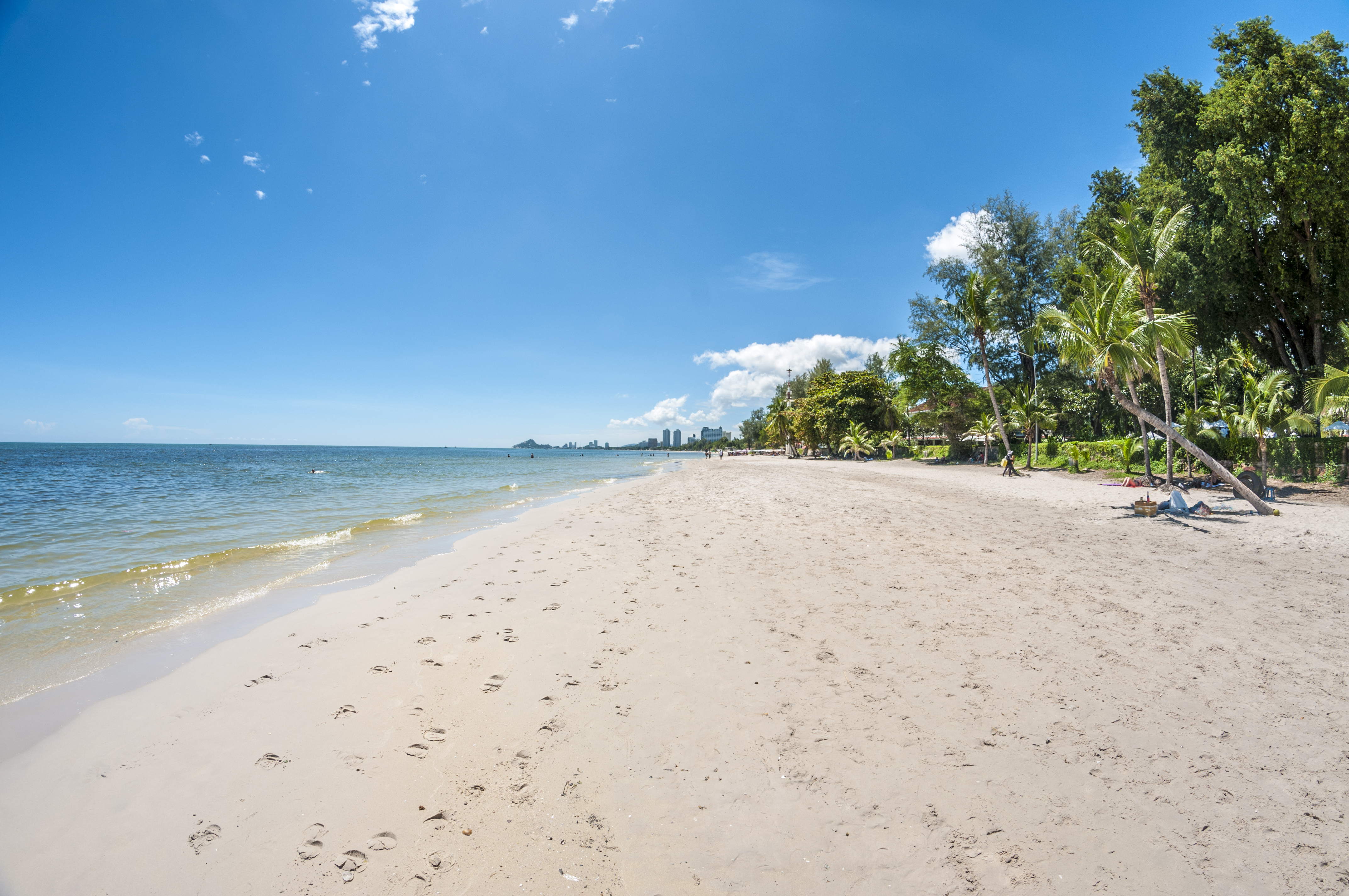 Tropical Beach With Palm Trees
