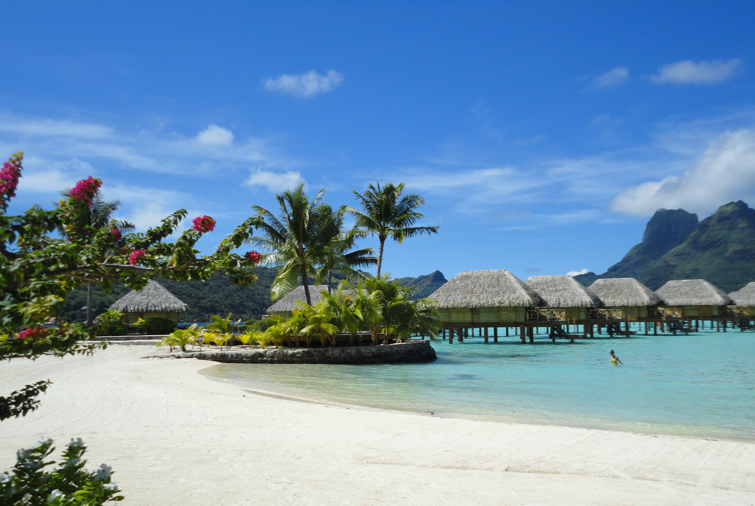 Beach in Bora Bora, Polyensia, showing the overwater bungalows, flowers and plam tree