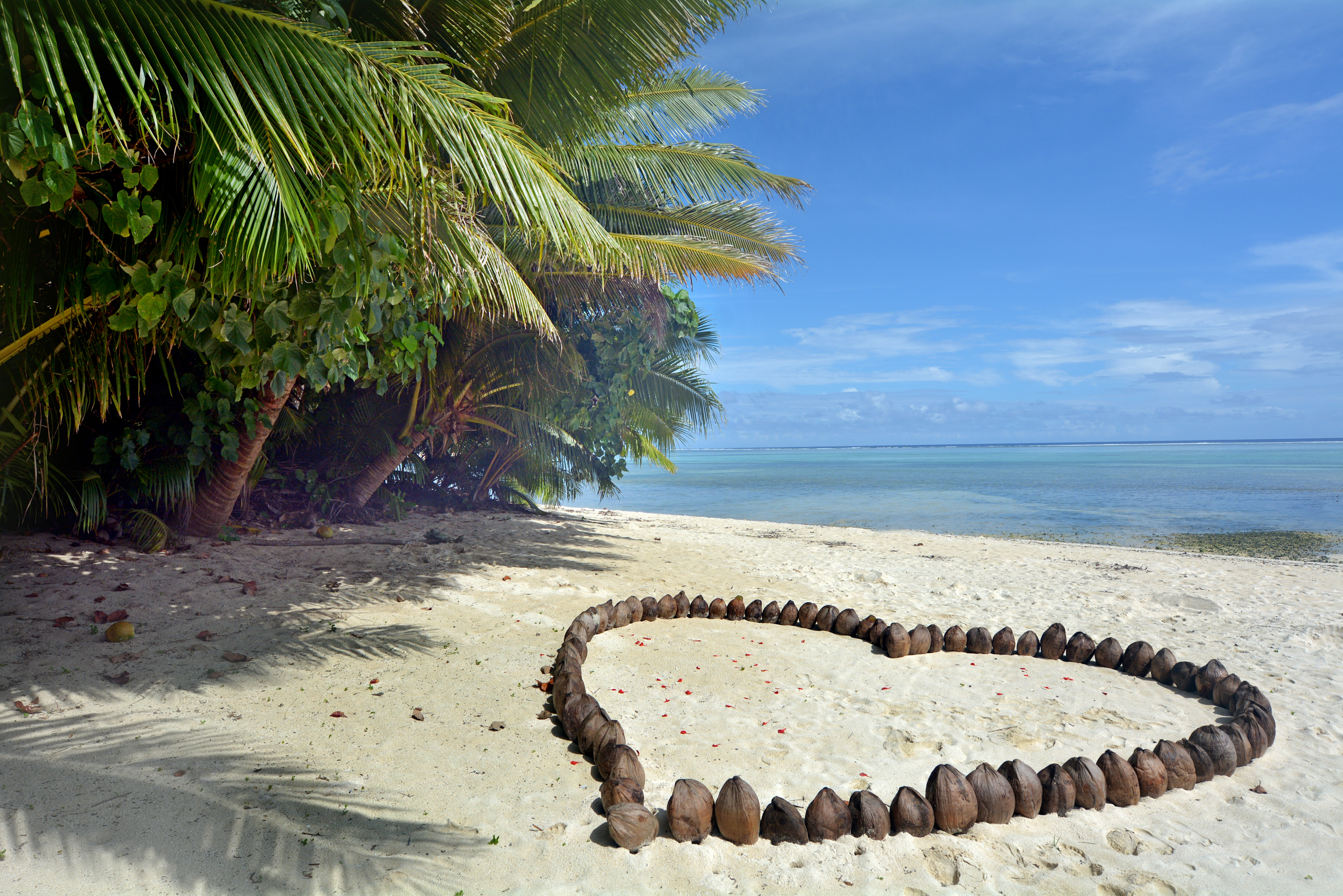 A romantic heart made out of coconuts on the beach in Rarotonga, Cook Islands.