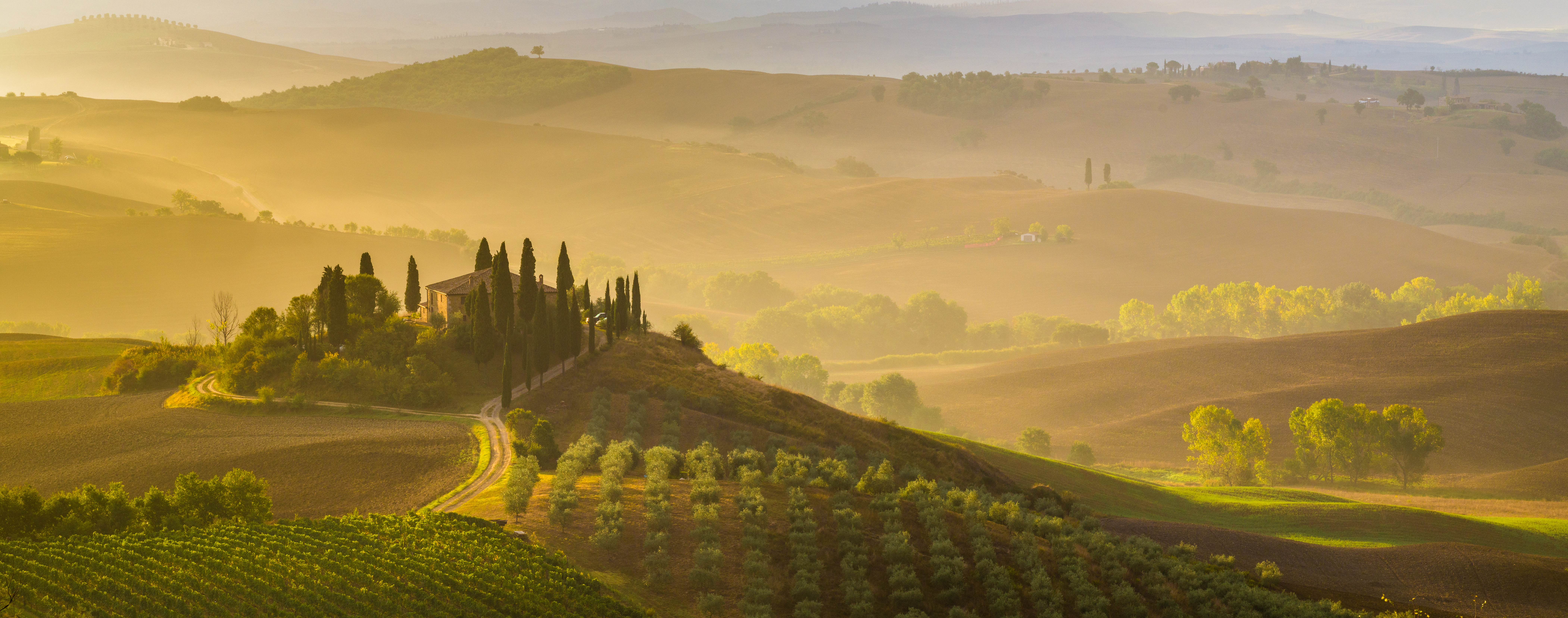 misty morning of hilltop fortification looking over vineyards and valley