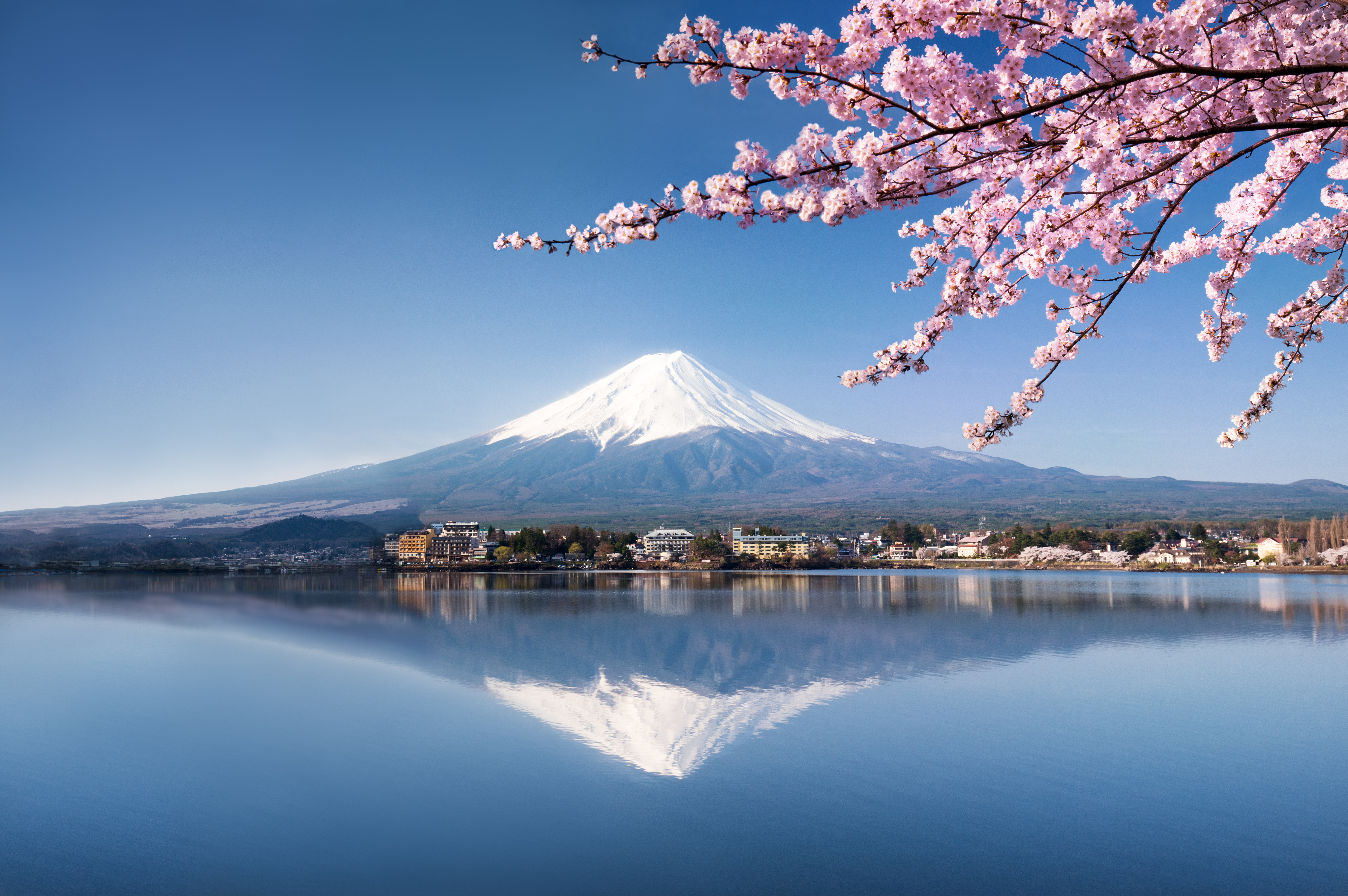 mountain across a clear lake with reflection and cherry blossoms