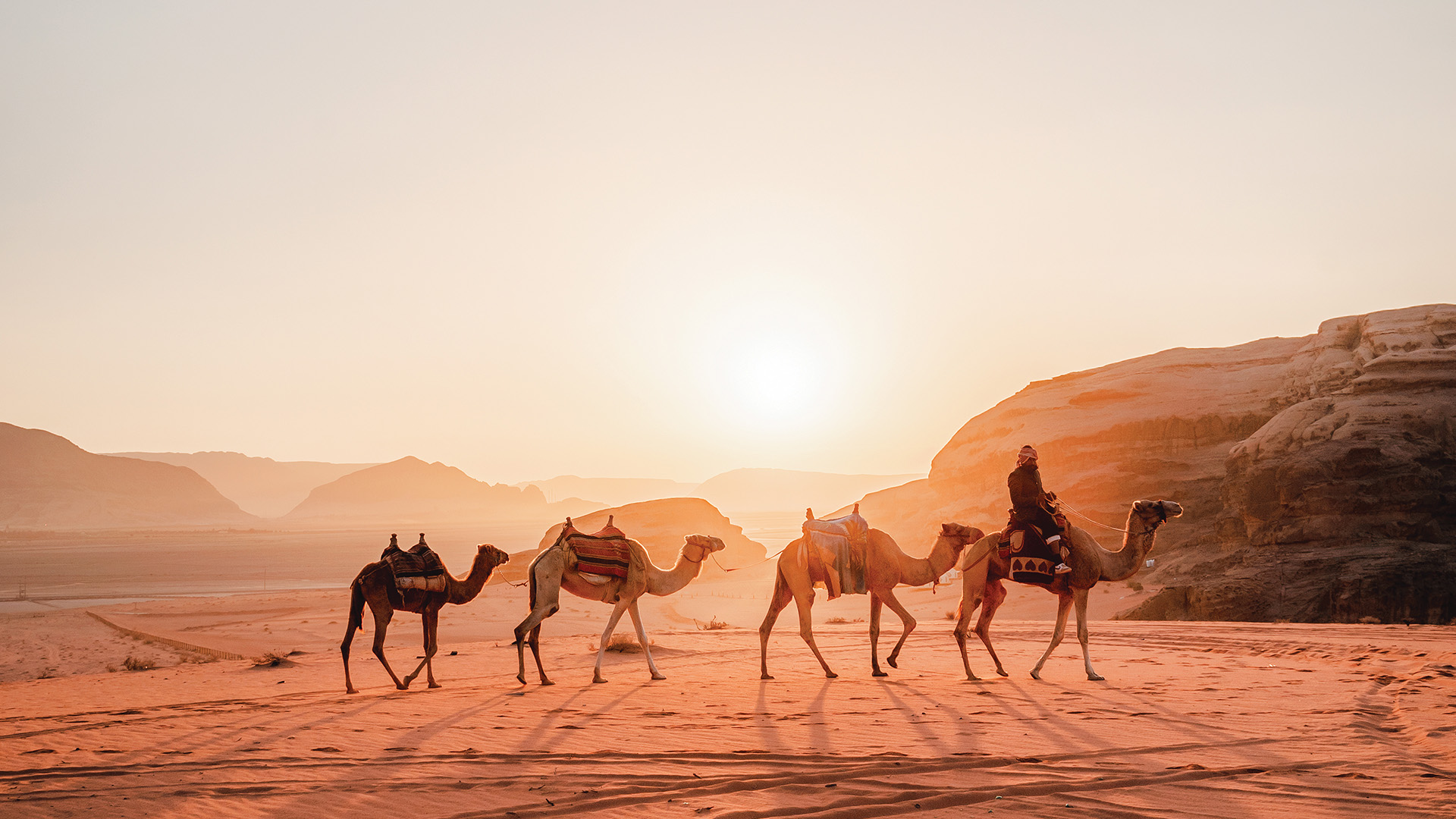 A man riding a camel leading three other camels in the desert behind the sun