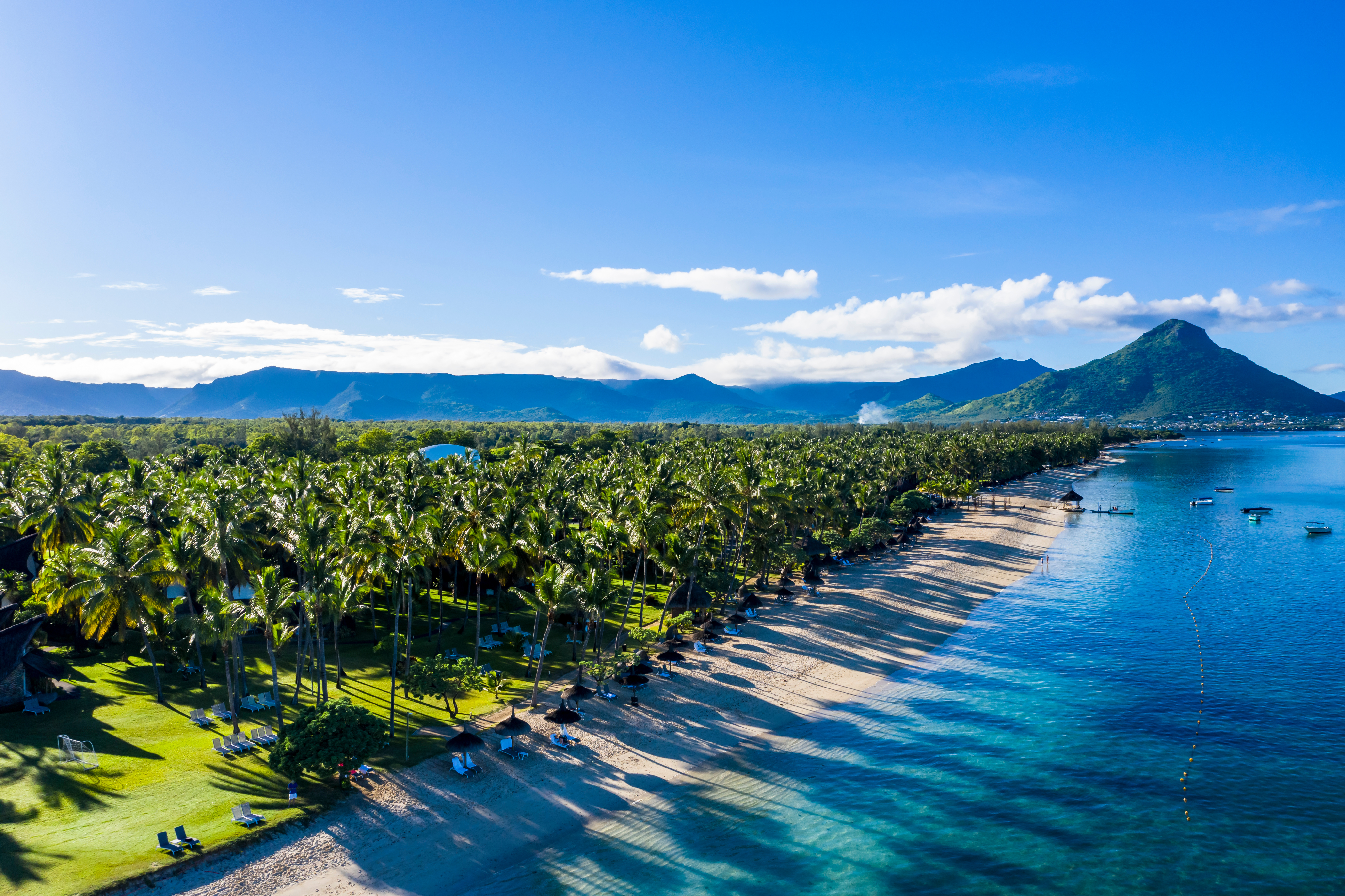 aerial view of beach and forest with mountain backdrop in Mauritius