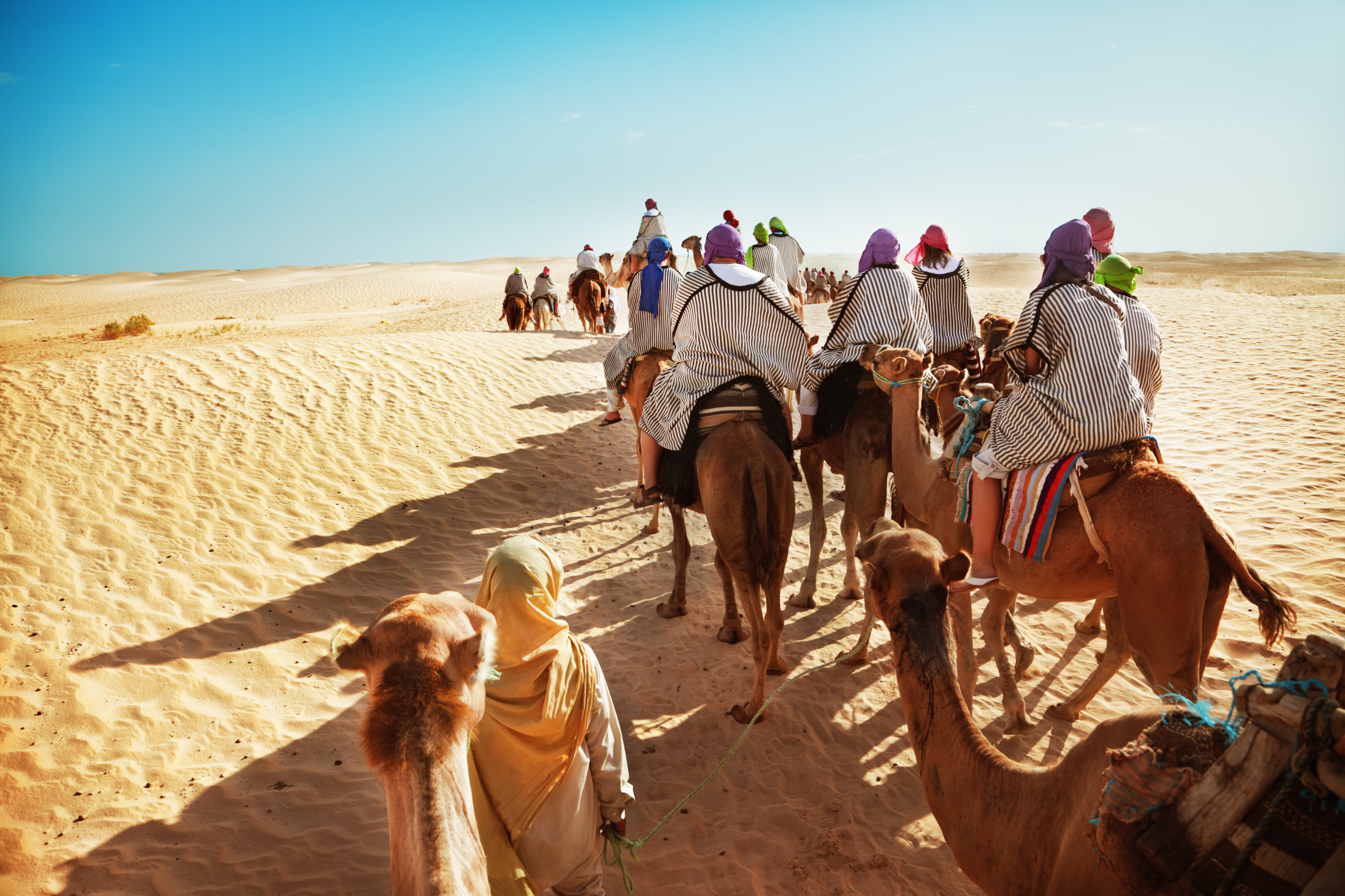 a group of travellers ride camels into the sands of the Sahara Desert on a group trip in Morocco