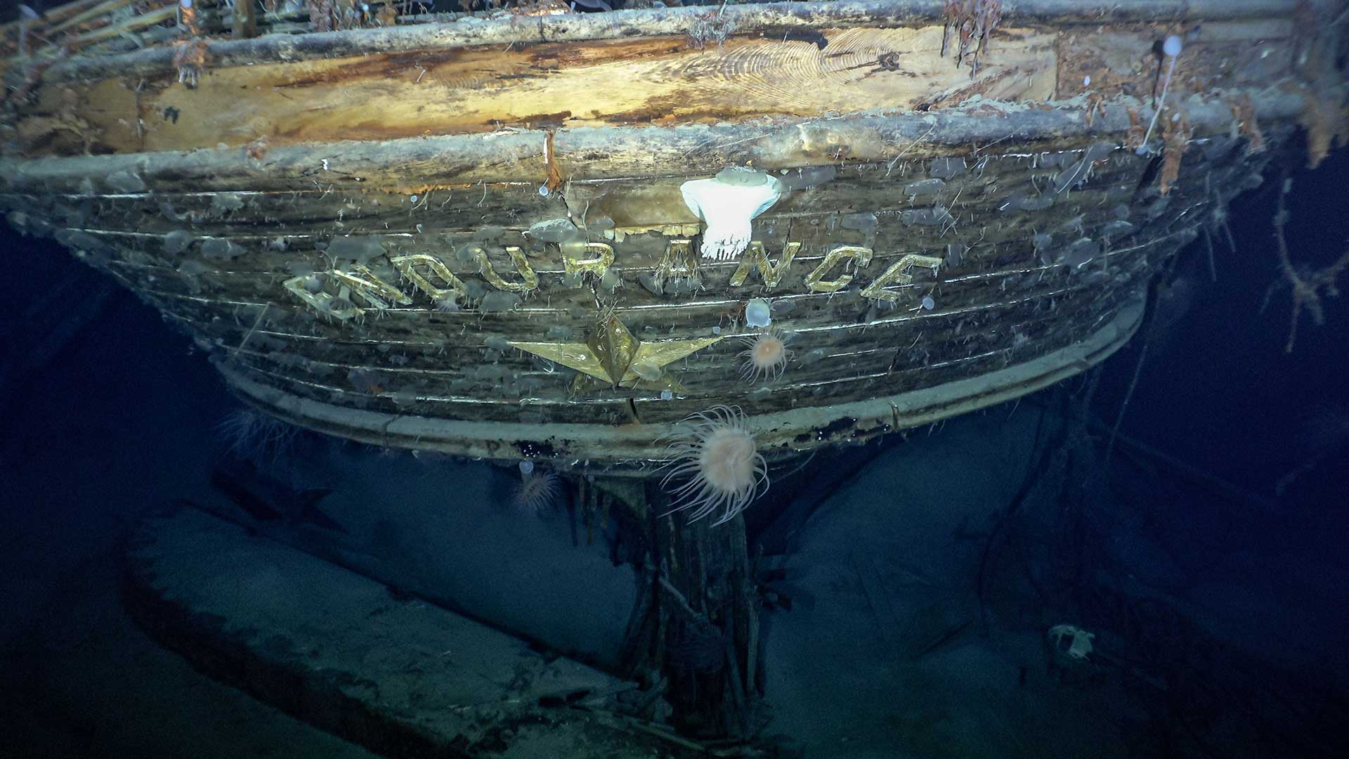 the name of the ship Endurance on the bow of the vessel under the water