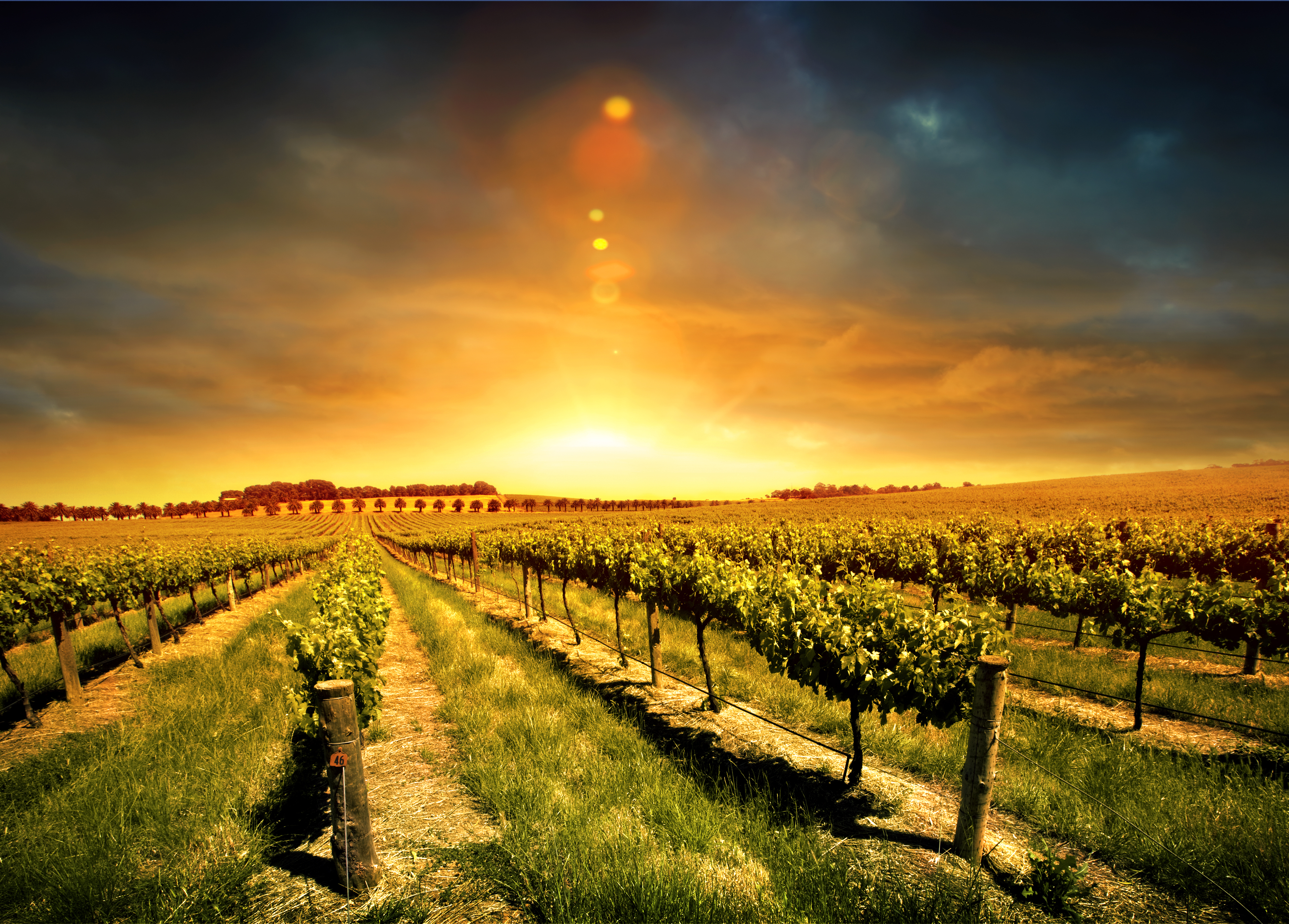 Barossa Valley Sunset, Australia