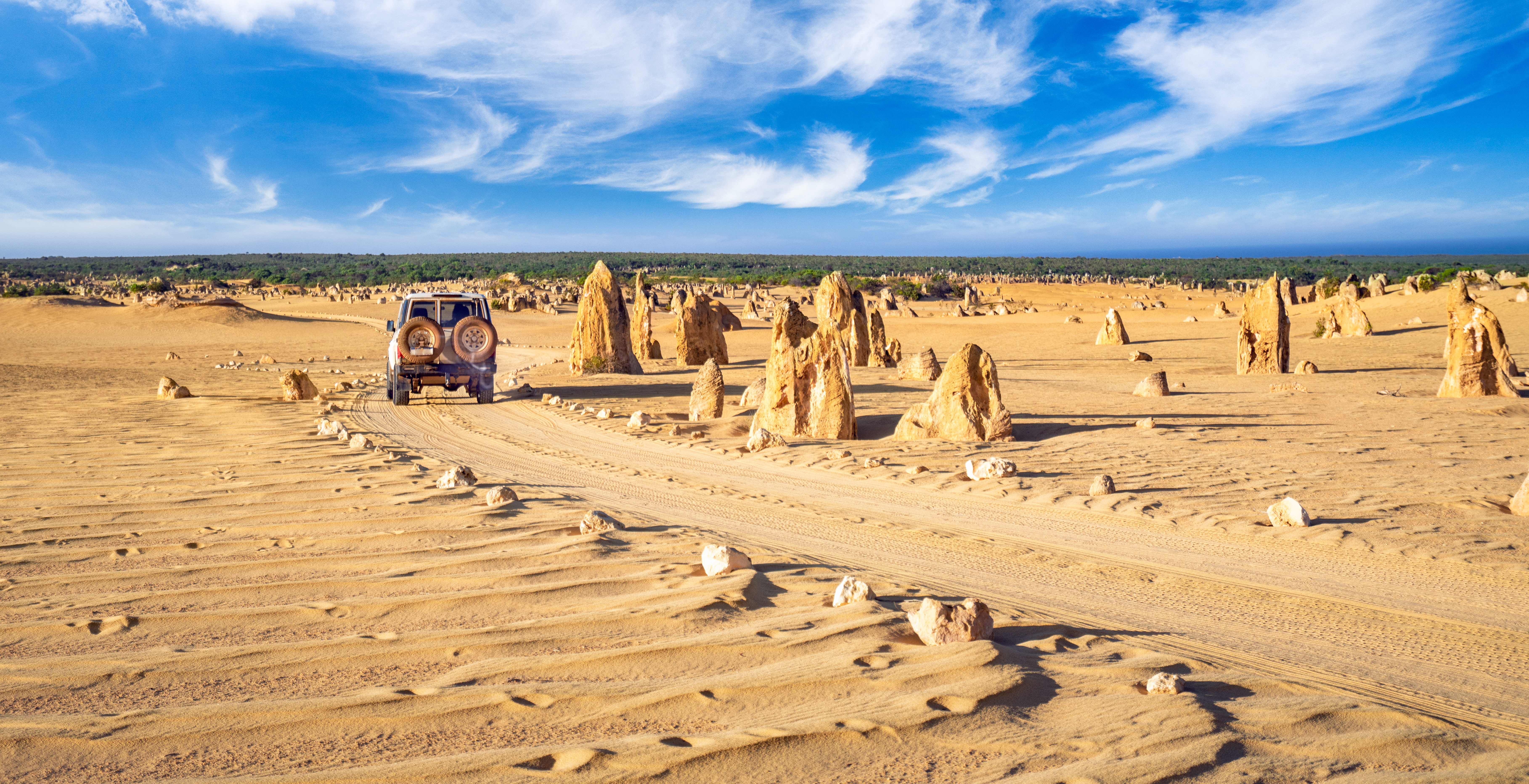 The Pinnacles rock park, Nambung National Park, Cervantes, West Australia, Australia