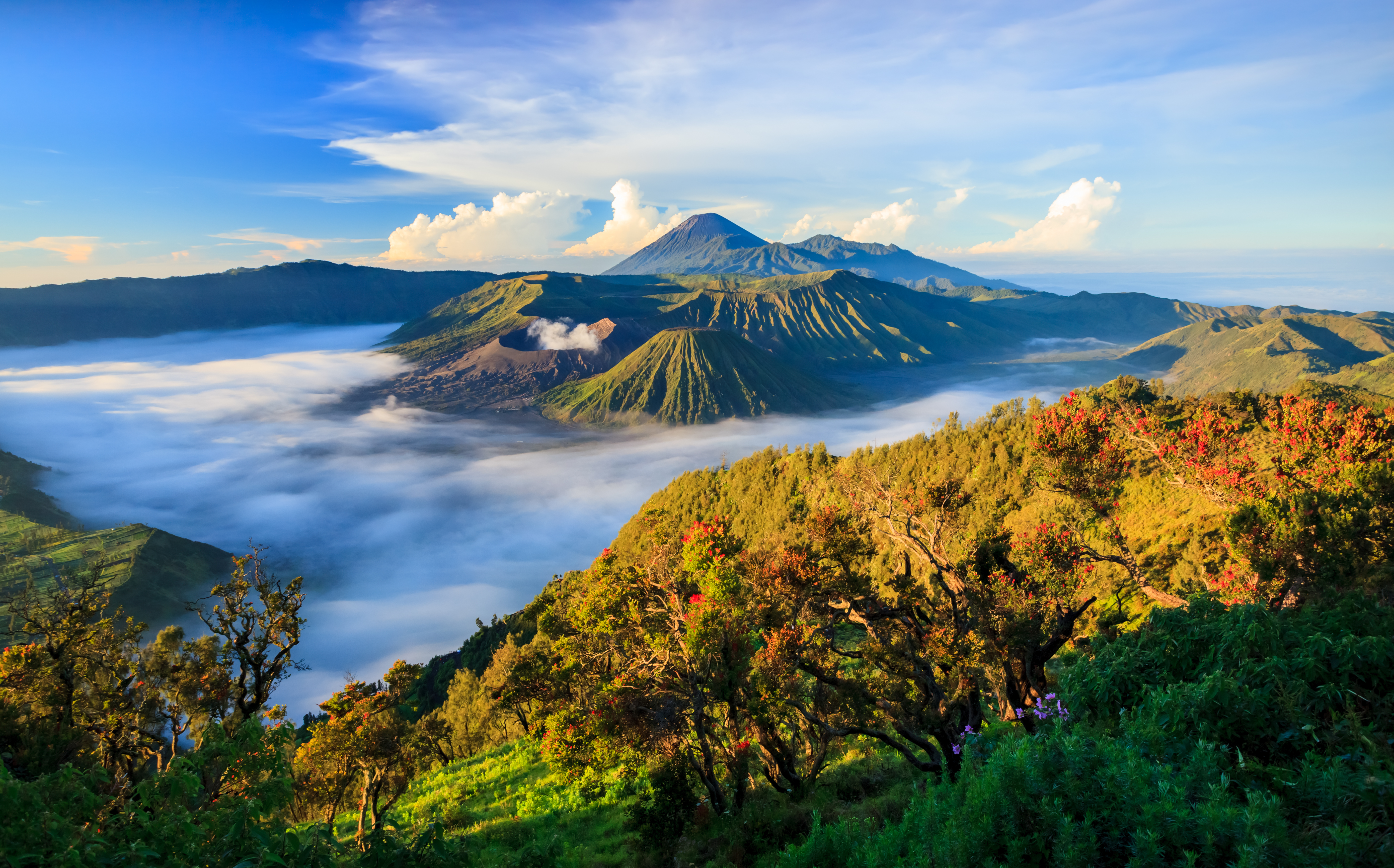 Mount Bromo Volcano at Sunrise Java Indonesia