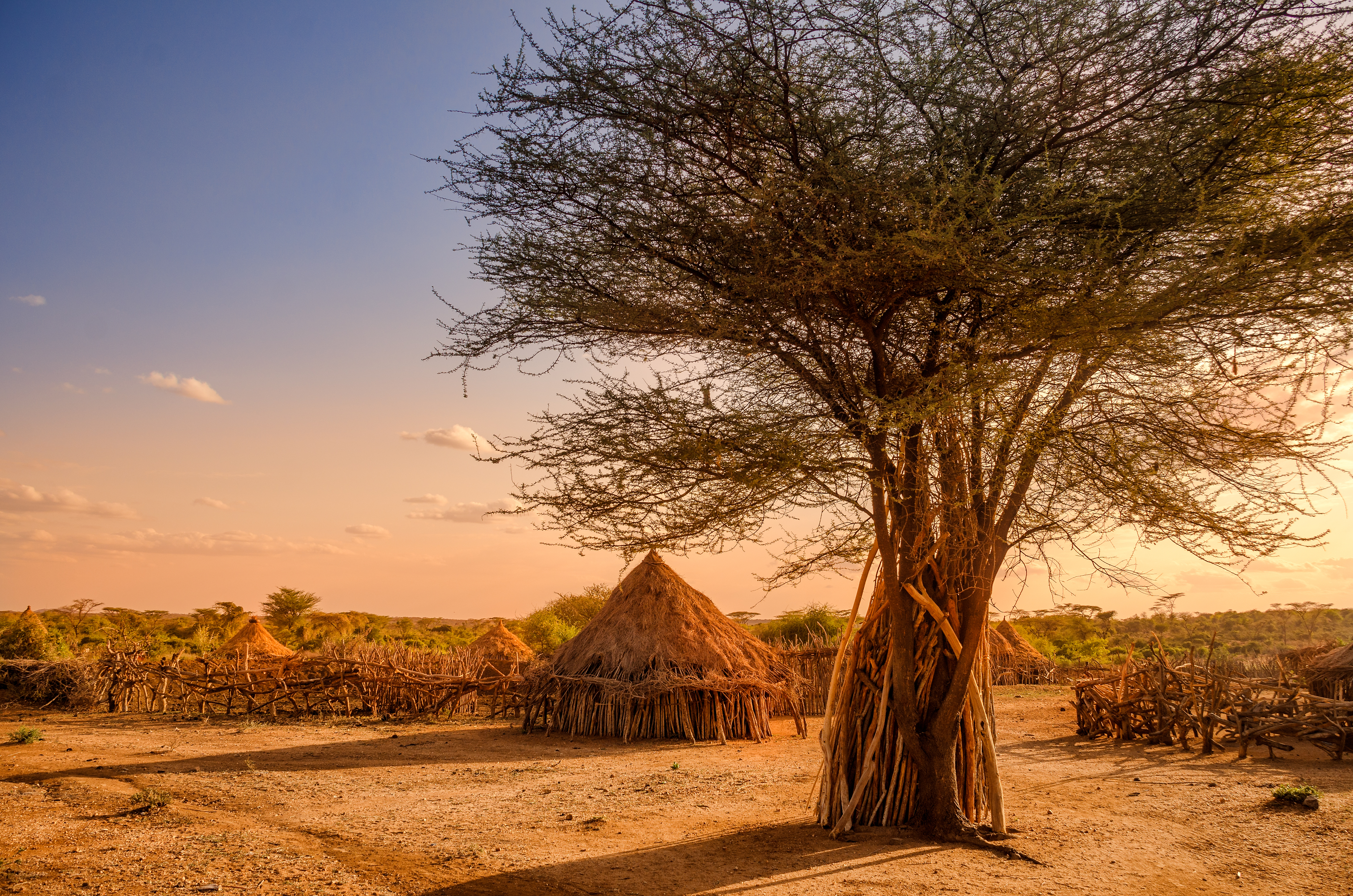 Huts in a Hamer Village at Sunset, Ethiopia