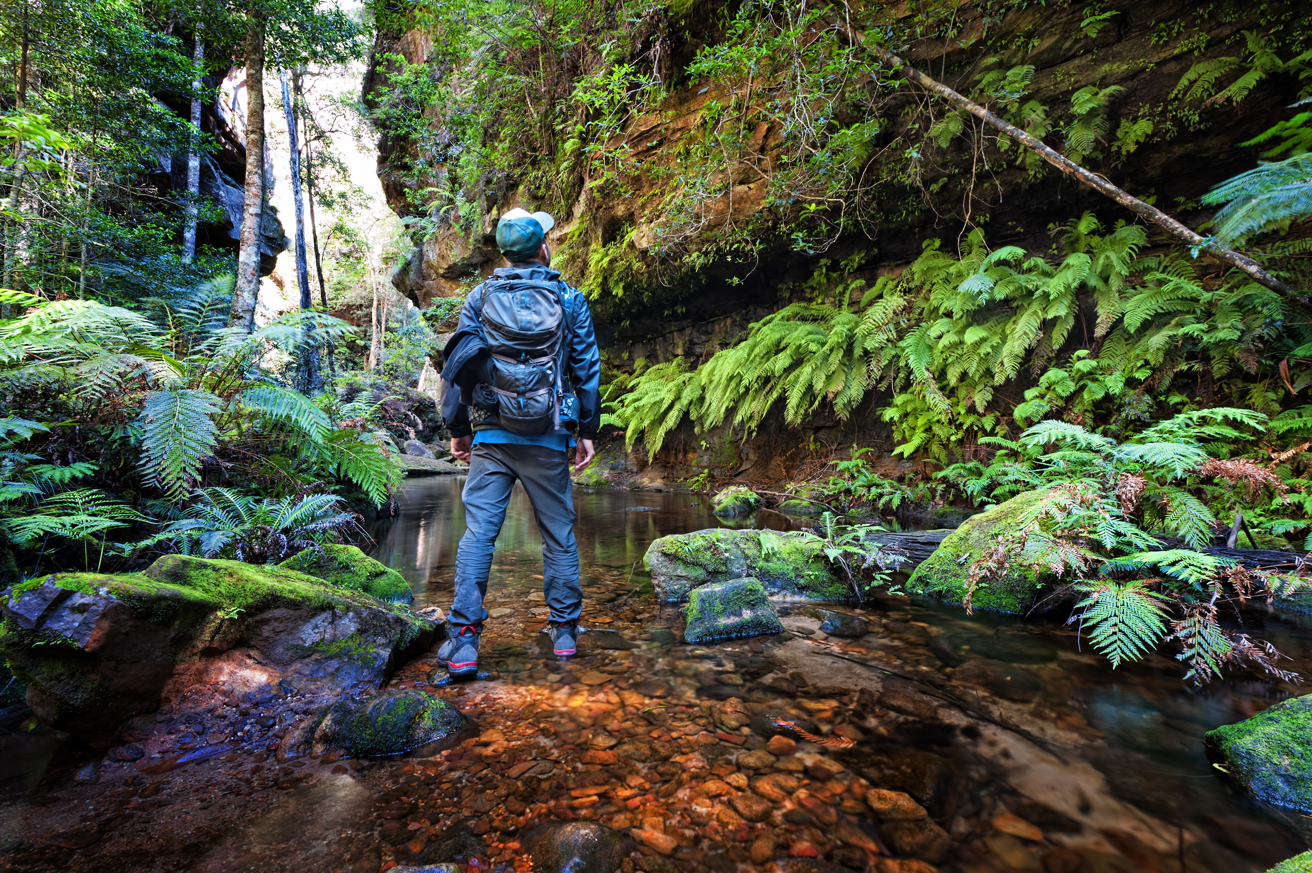 Man standing at Grand Canyon track in the Blue Mountains, Sydney, NSW, Australia