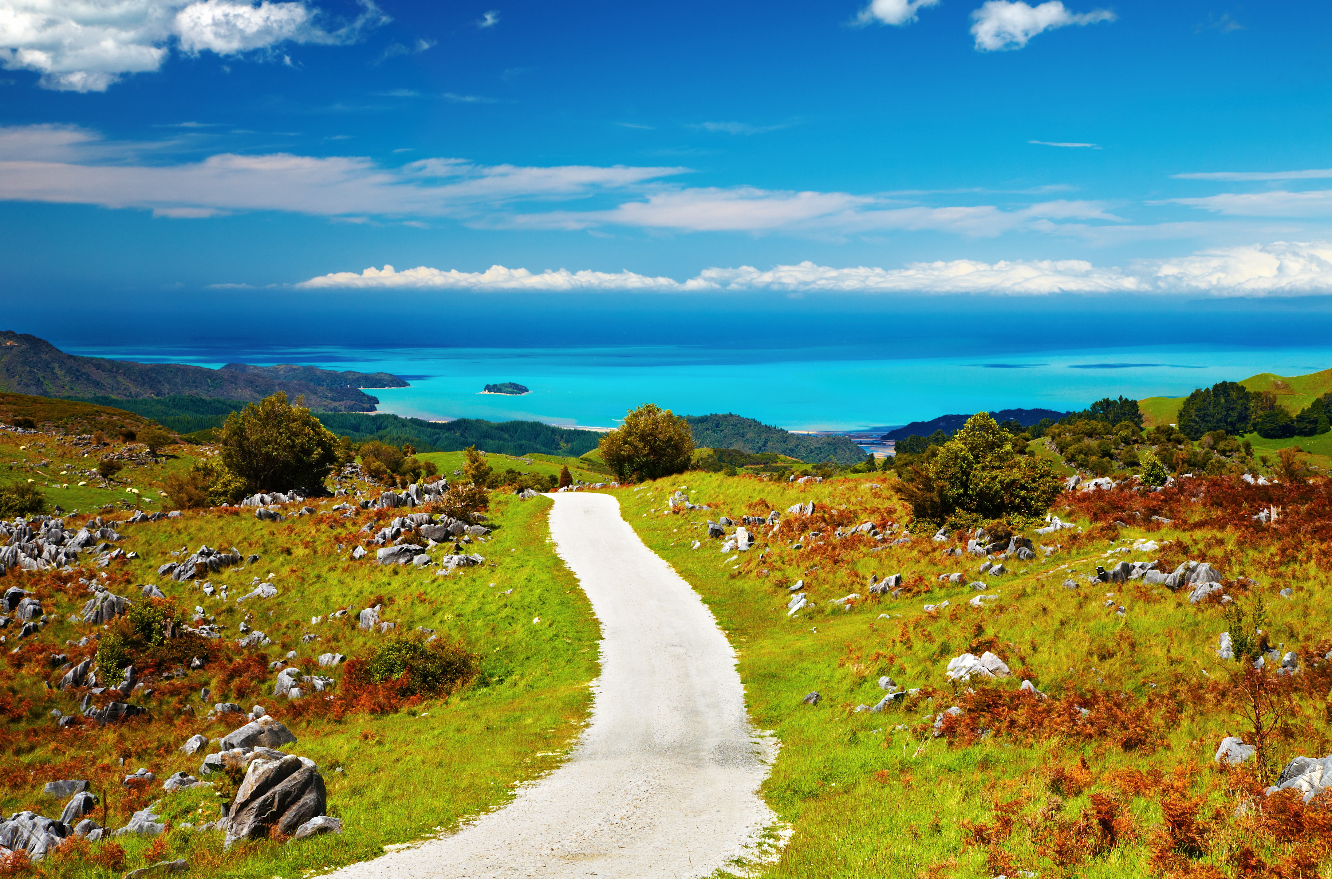 Coastal View, Abel Tasman National Park, New Zealand