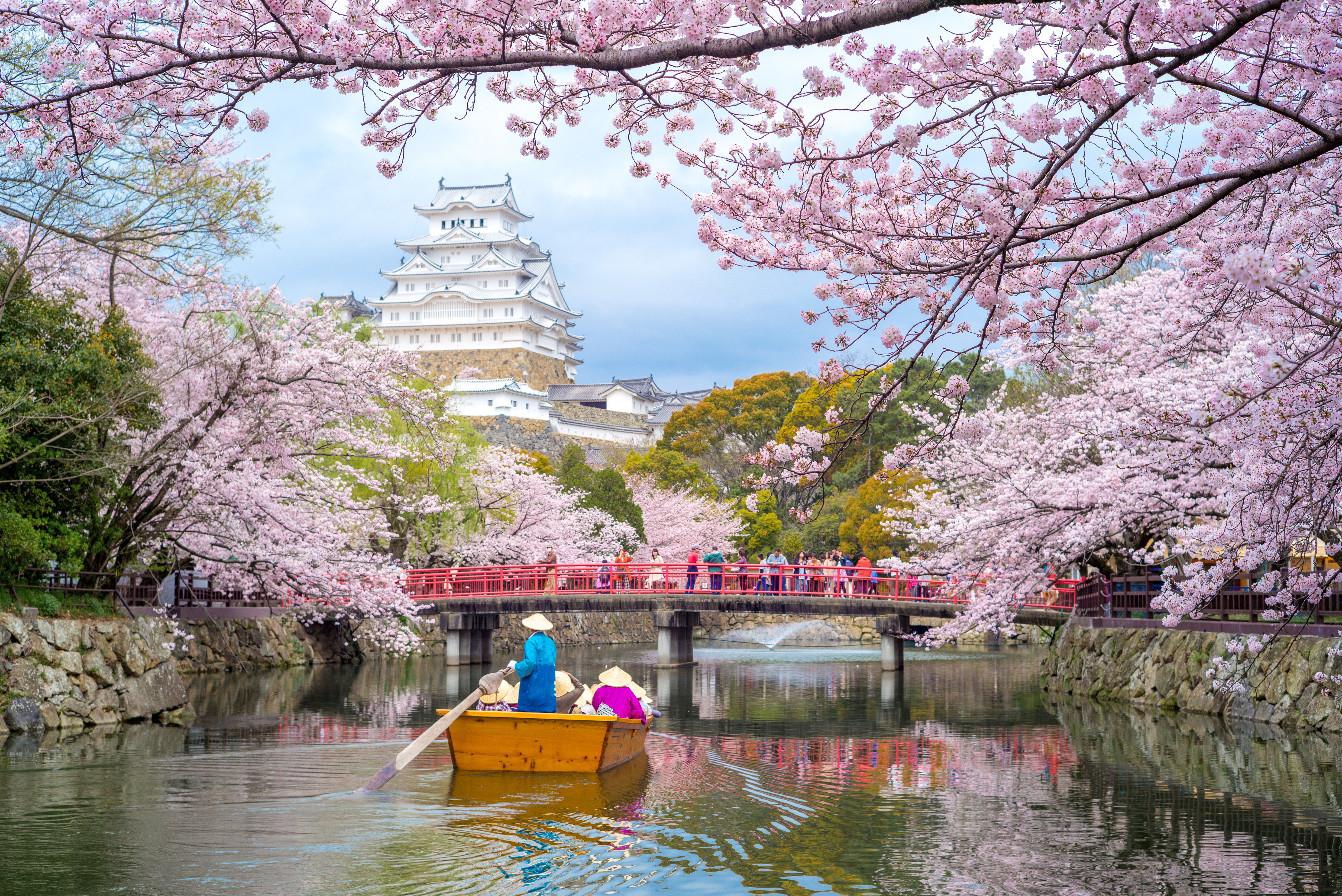 Himeji Castle with beautiful cherry blossom in spring season, Kyoto, Japan